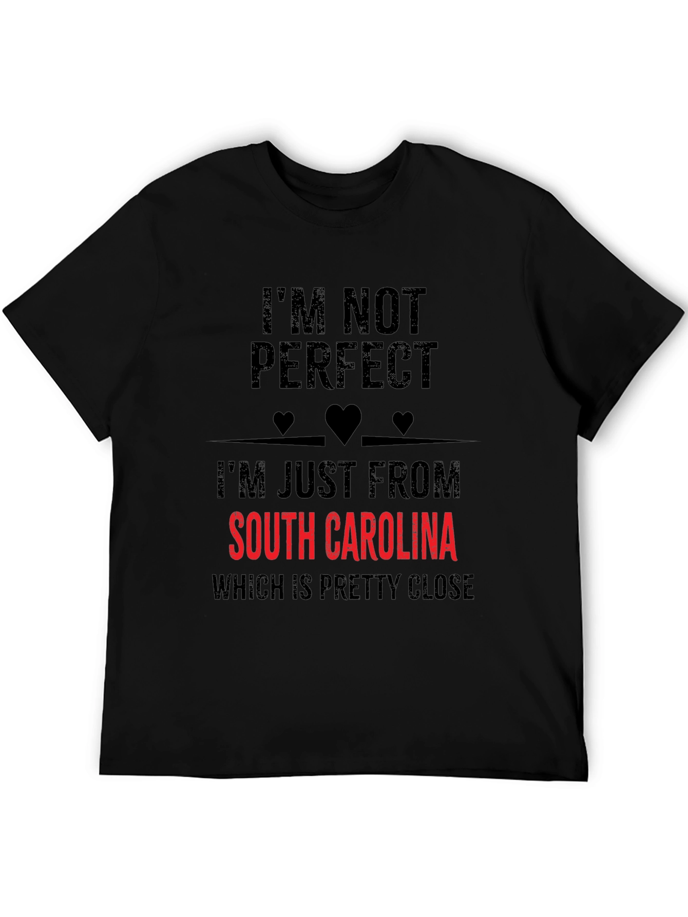 South Carolina T-Shirt - Im Not Perfect