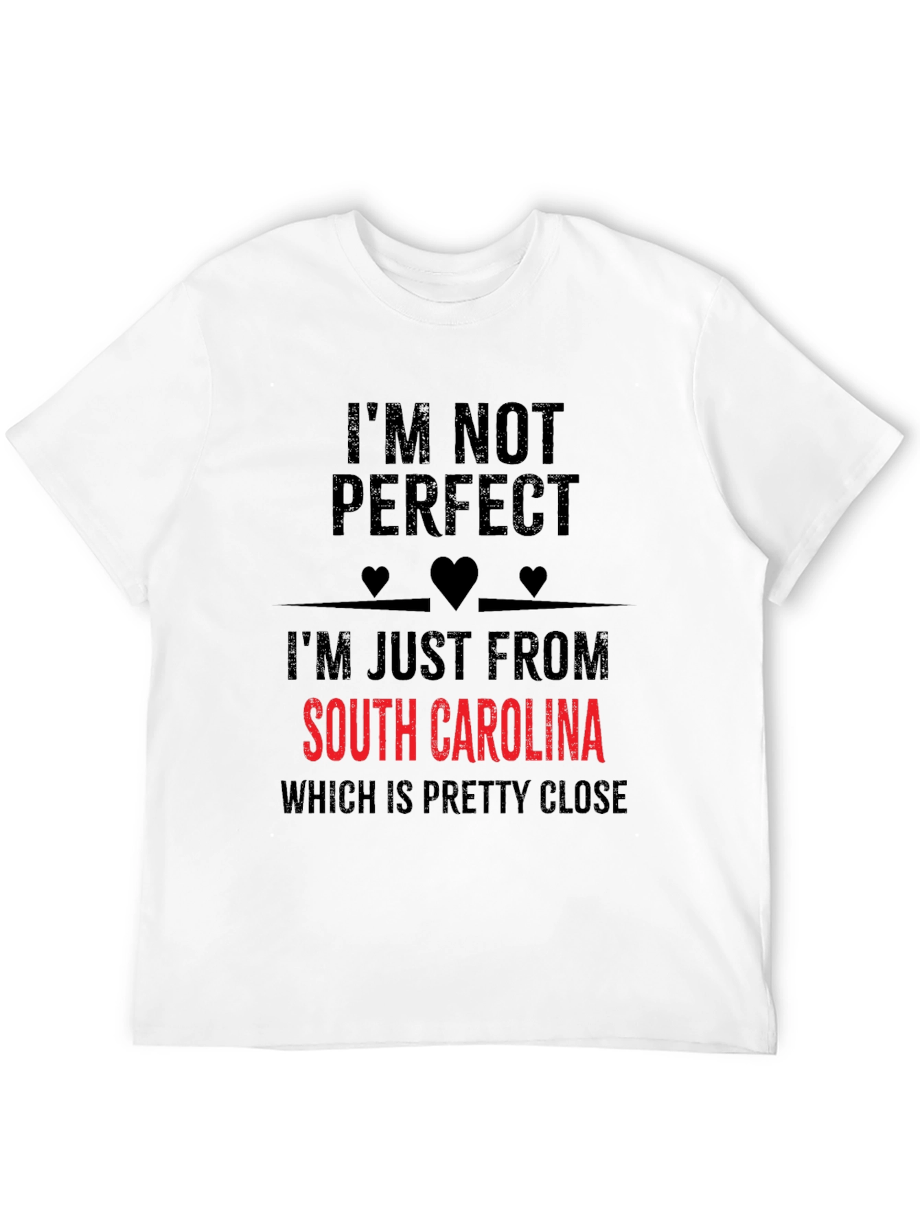 South Carolina T-Shirt - Im Not Perfect