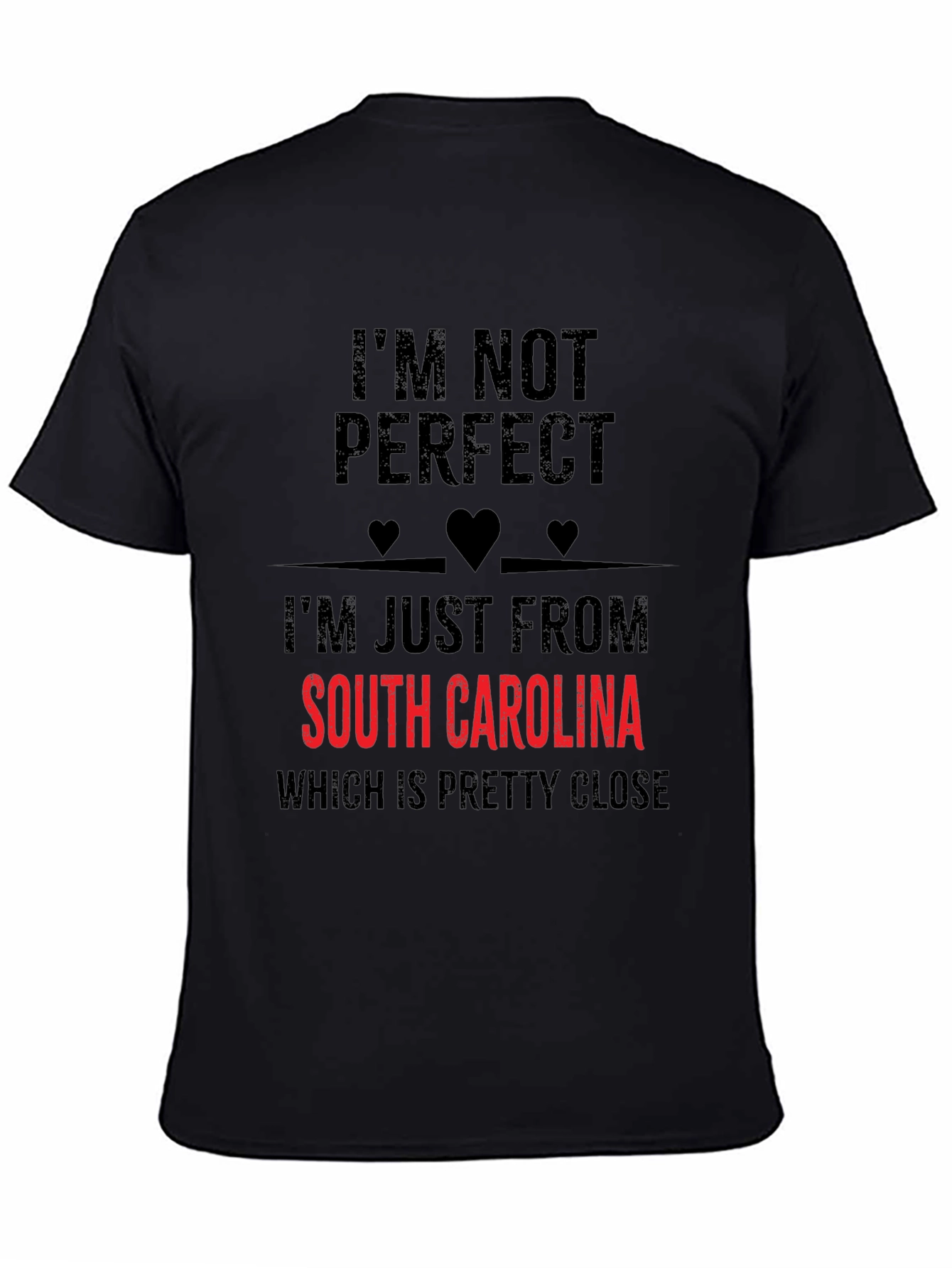 South Carolina T-Shirt - Im Not Perfect