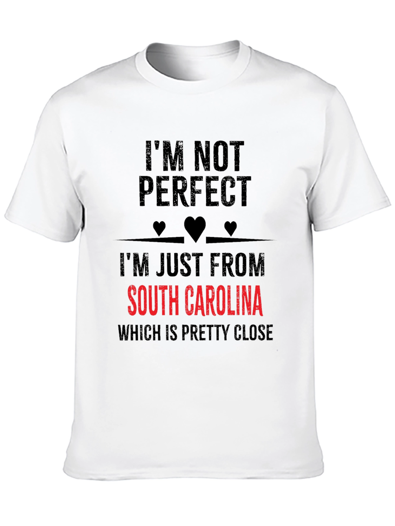 South Carolina T-Shirt - Im Not Perfect