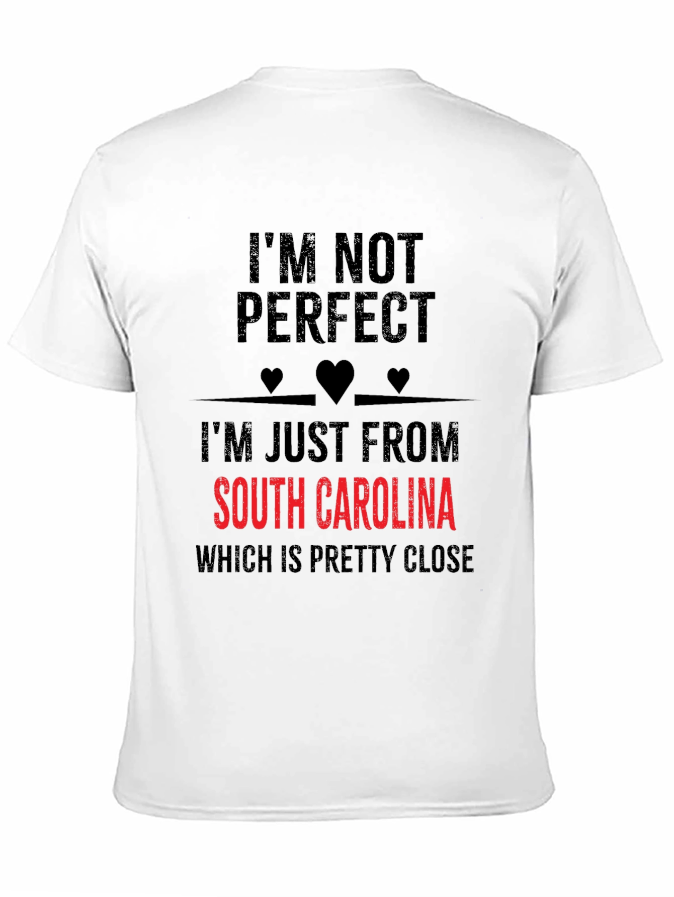 South Carolina T-Shirt - Im Not Perfect
