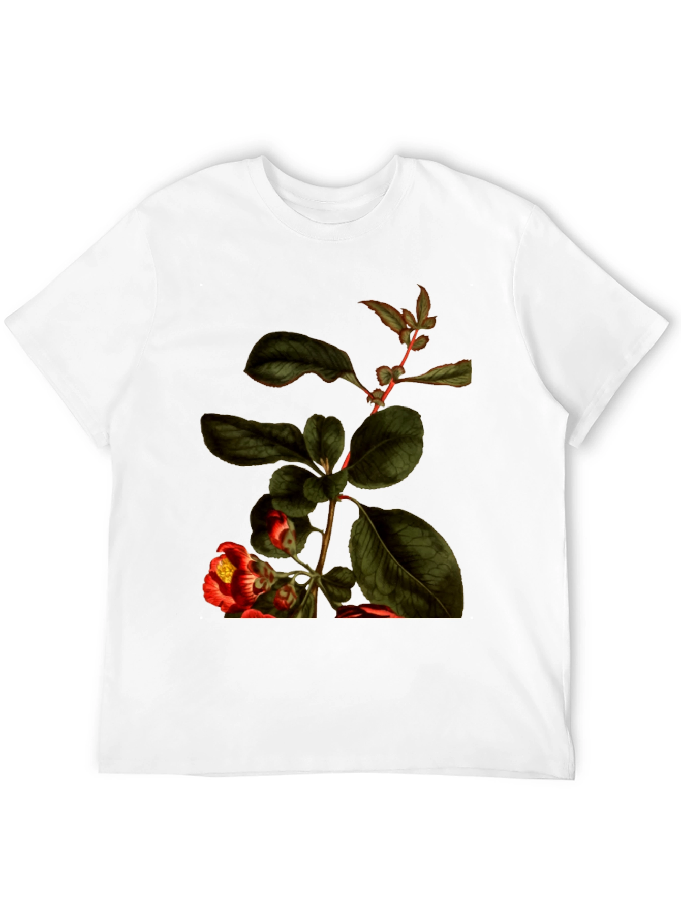 Botanical Print Black T-Shirt - Nature Inspired Tee