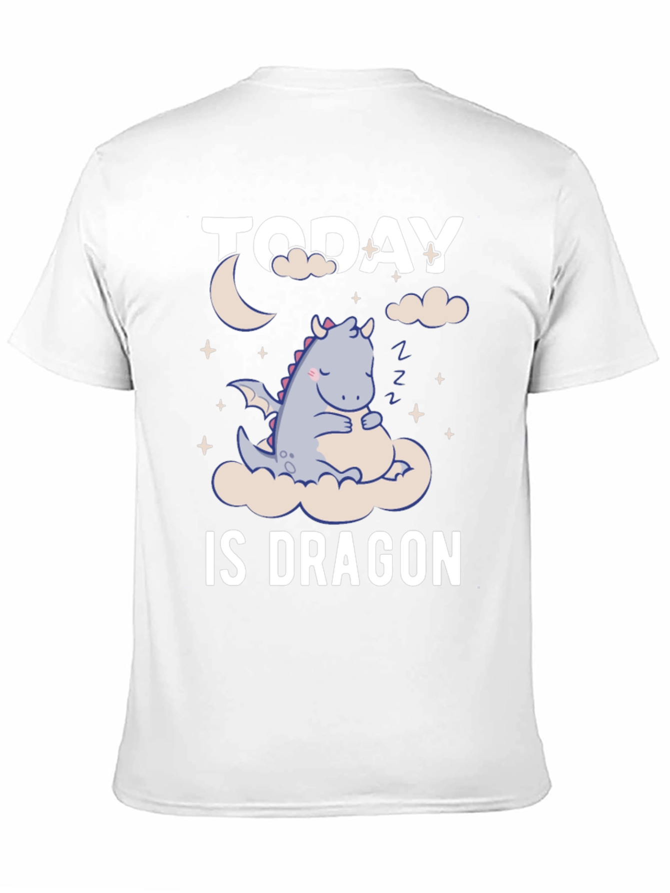 Today is Dragon Nap Day T-Shirt