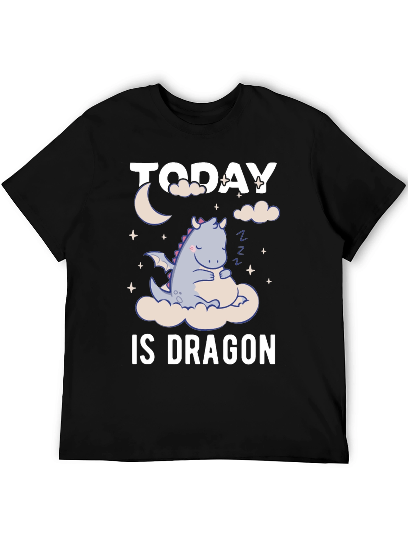 Today is Dragon Nap Day T-Shirt