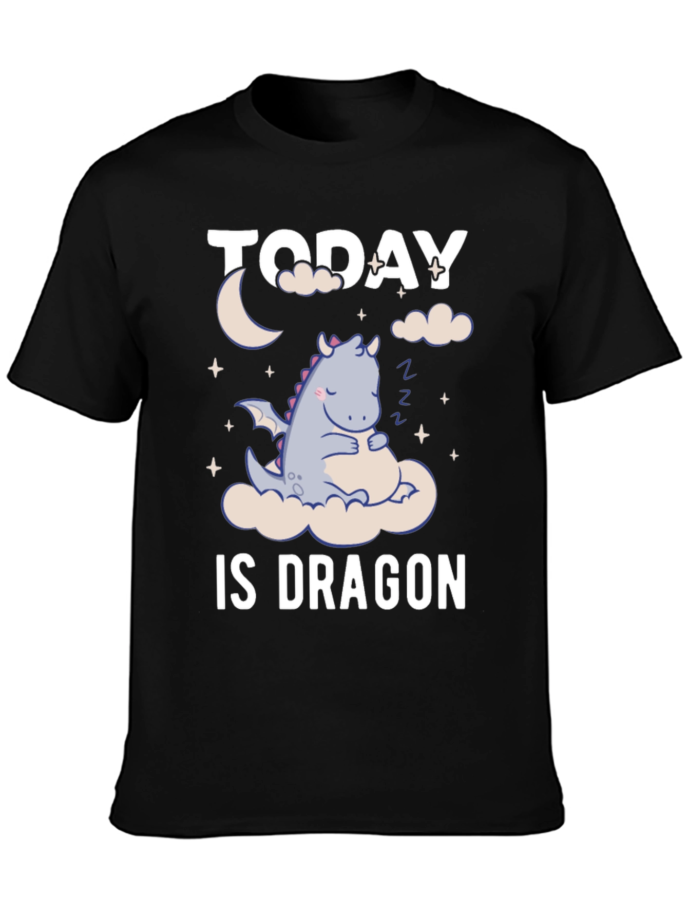 Today is Dragon Nap Day T-Shirt
