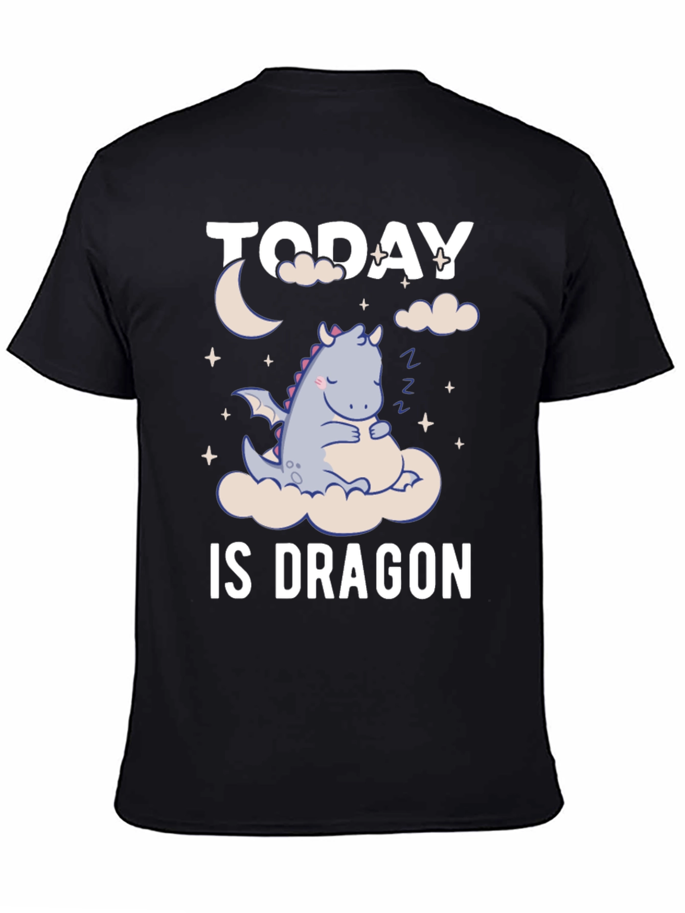 Today is Dragon Nap Day T-Shirt