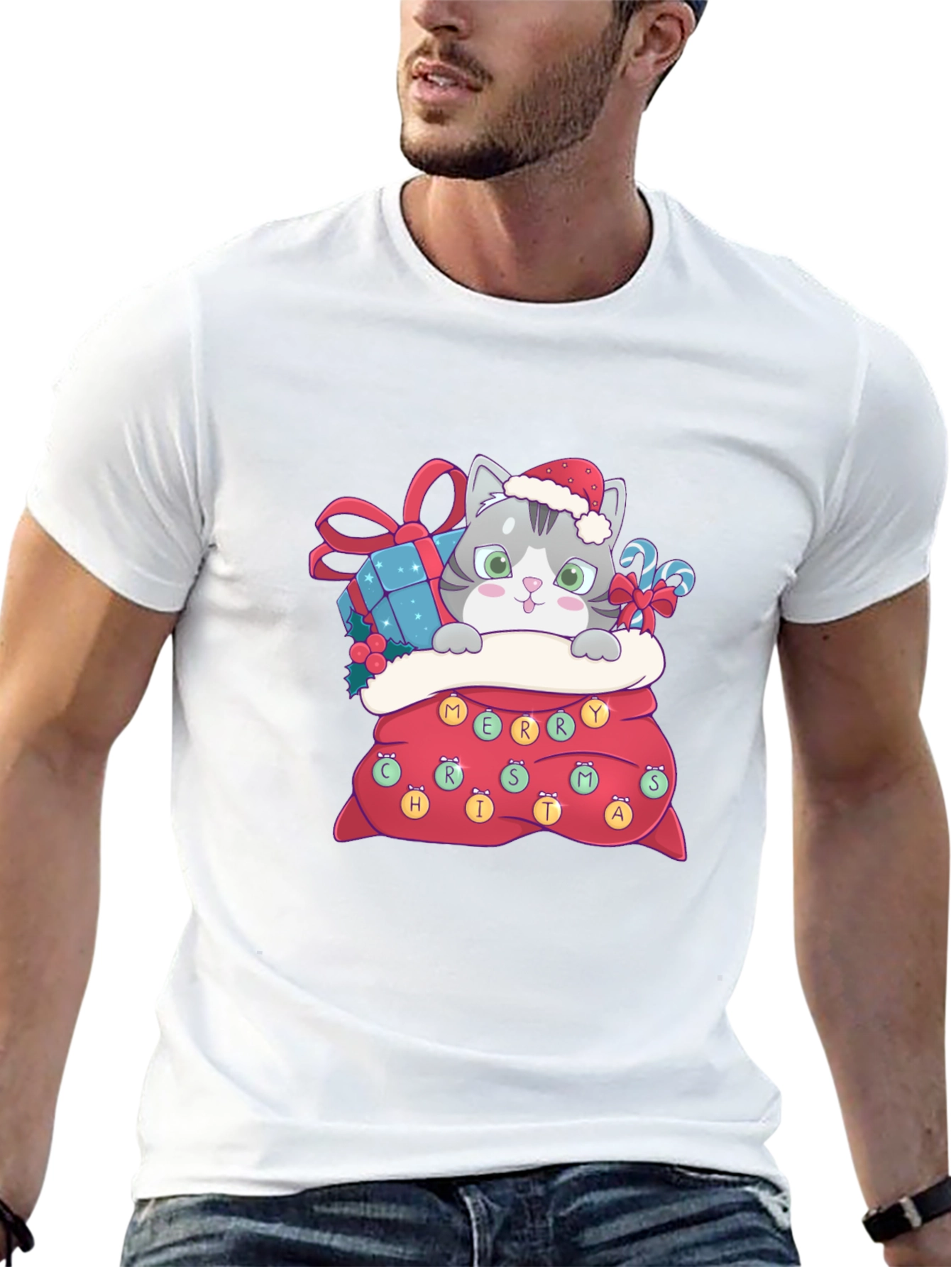 Christmas Cat in Bag Graphic Tee