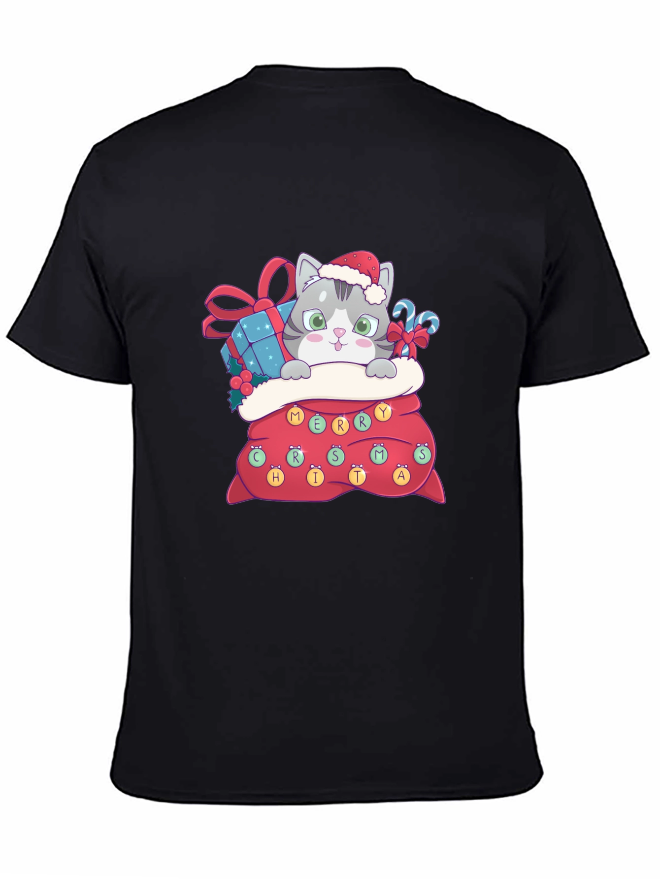 Christmas Cat in Bag Graphic Tee