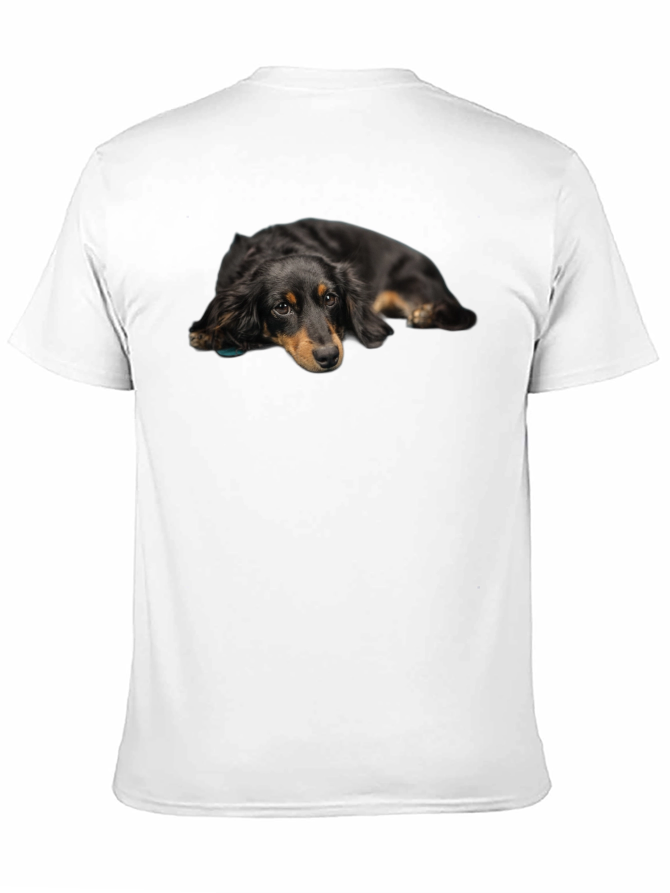 Cute Dachshund Dog Graphic Print Black T-Shirt