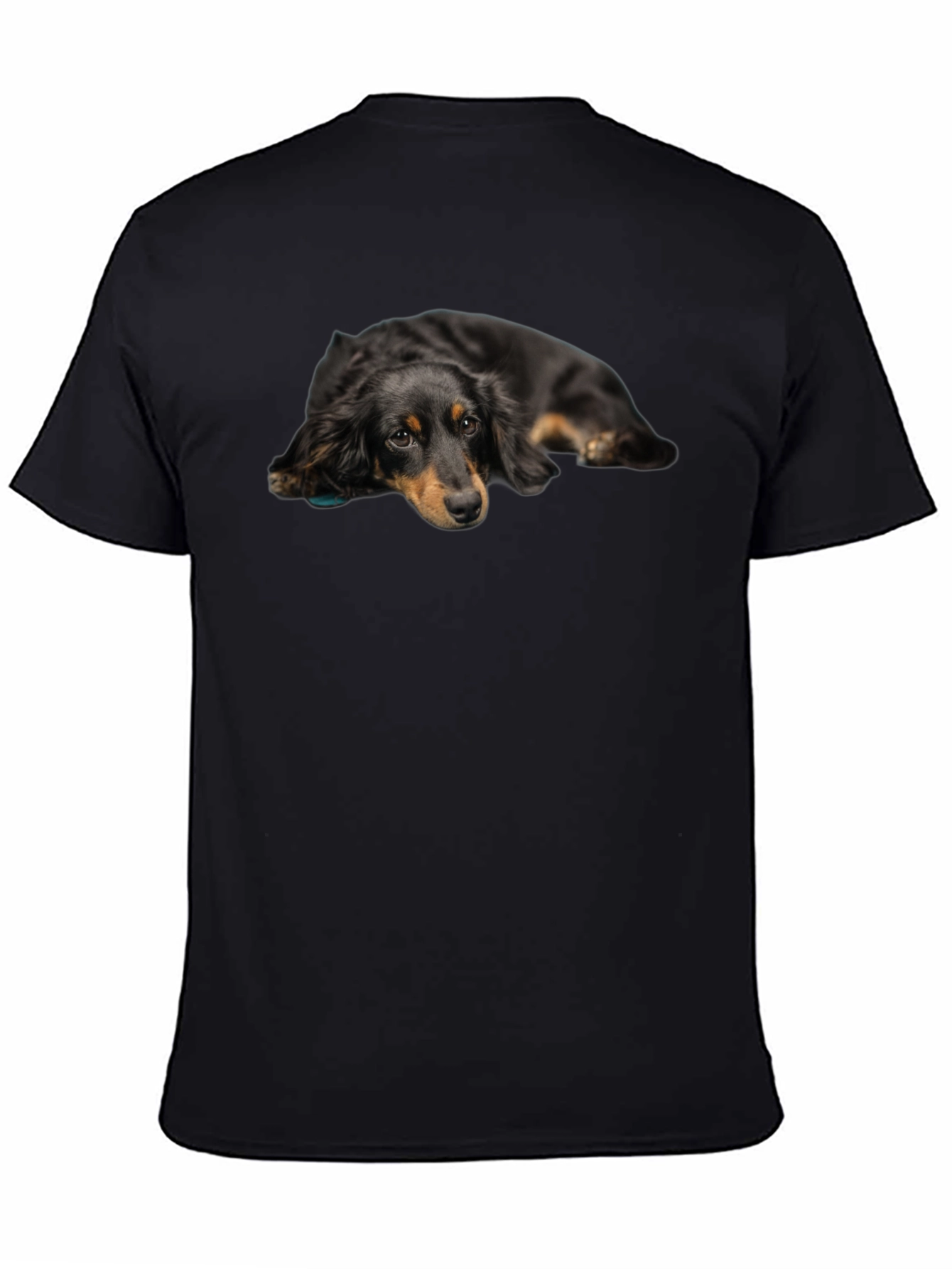 Cute Dachshund Dog Graphic Print Black T-Shirt