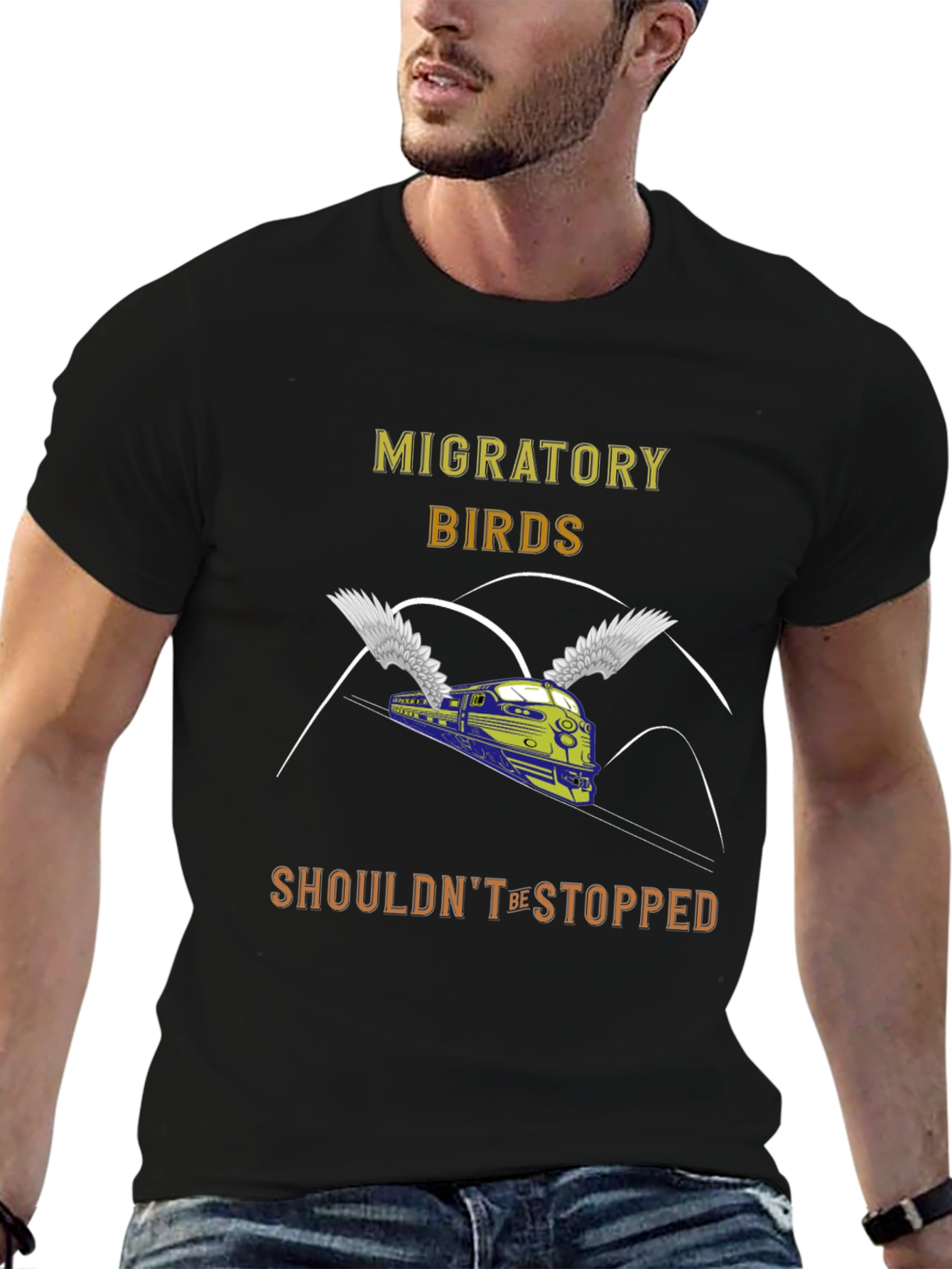 Migratory Birds Train Graphic T-Shirt