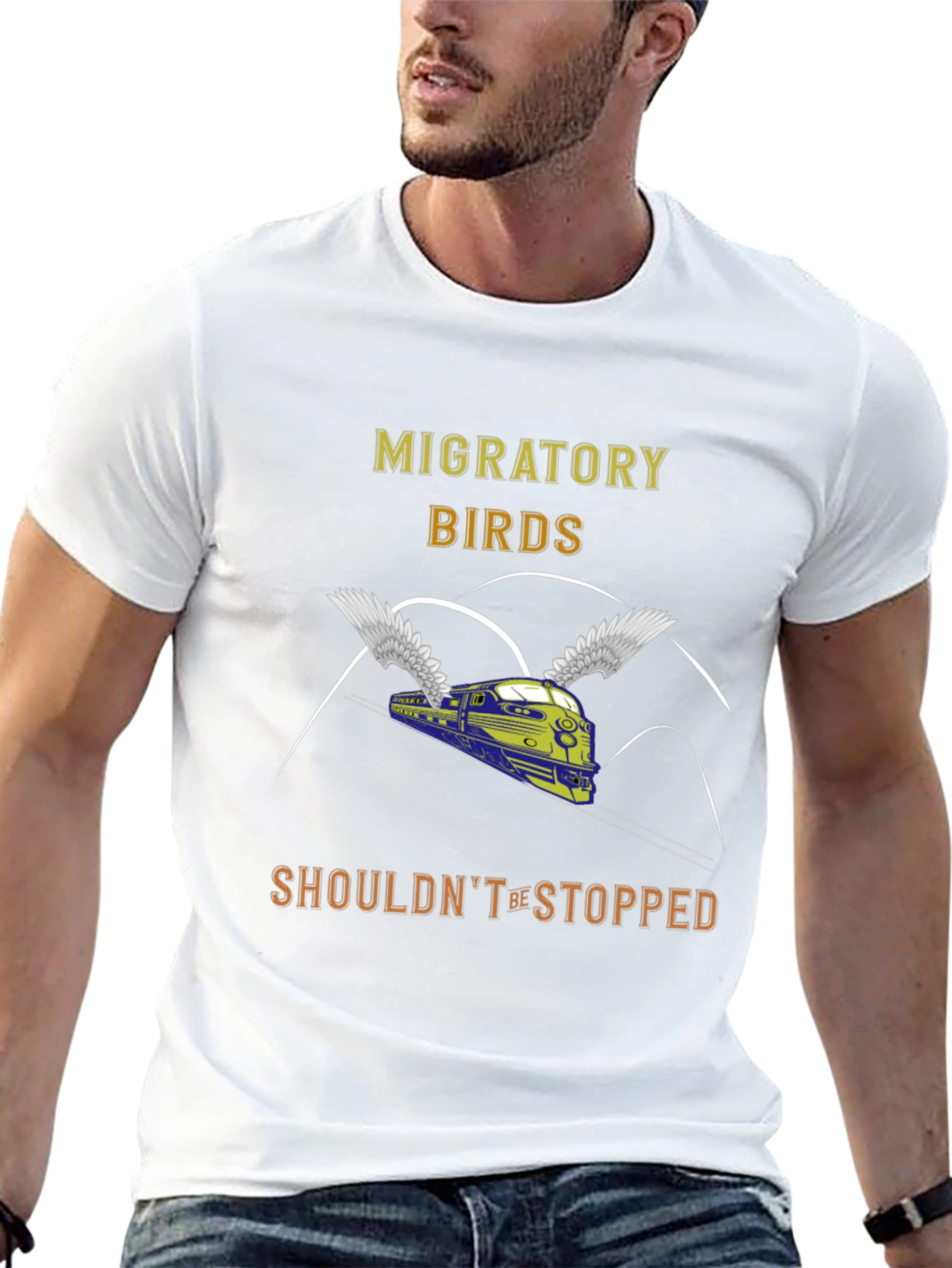 Migratory Birds Train Graphic T-Shirt