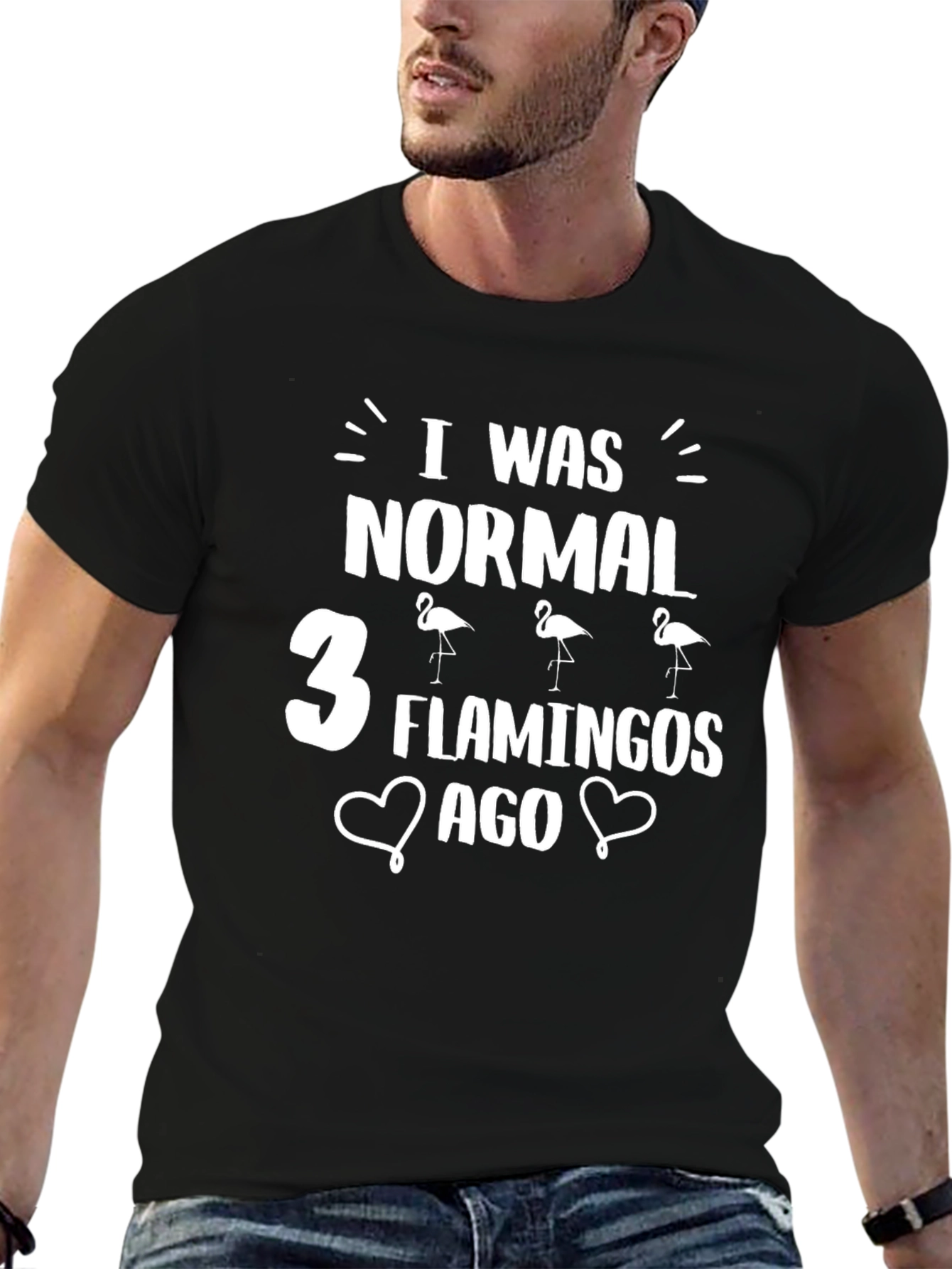 Funny Flamingo Graphic T-Shirt - I Was Normal