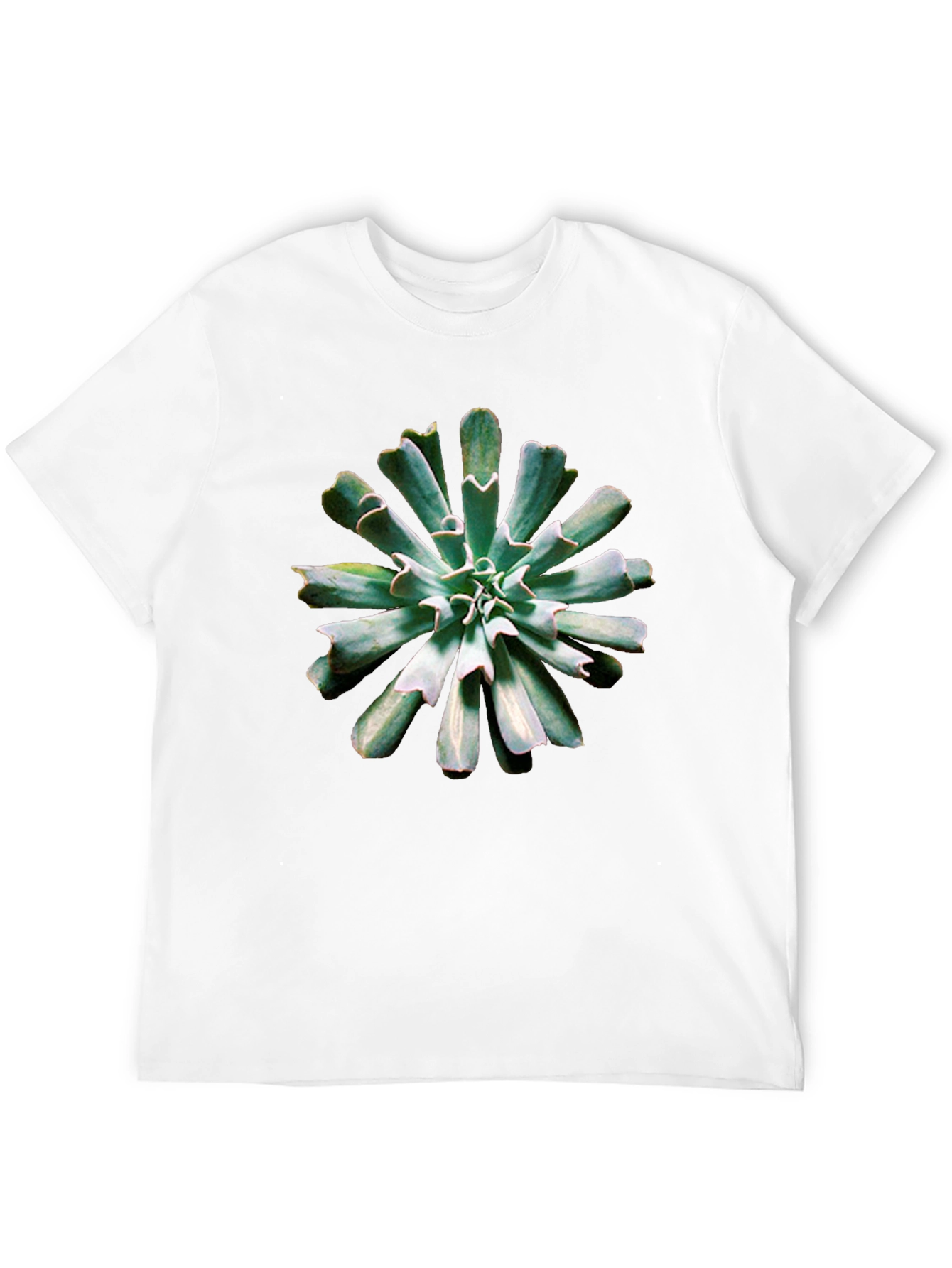 Succulent Print Black T-Shirt