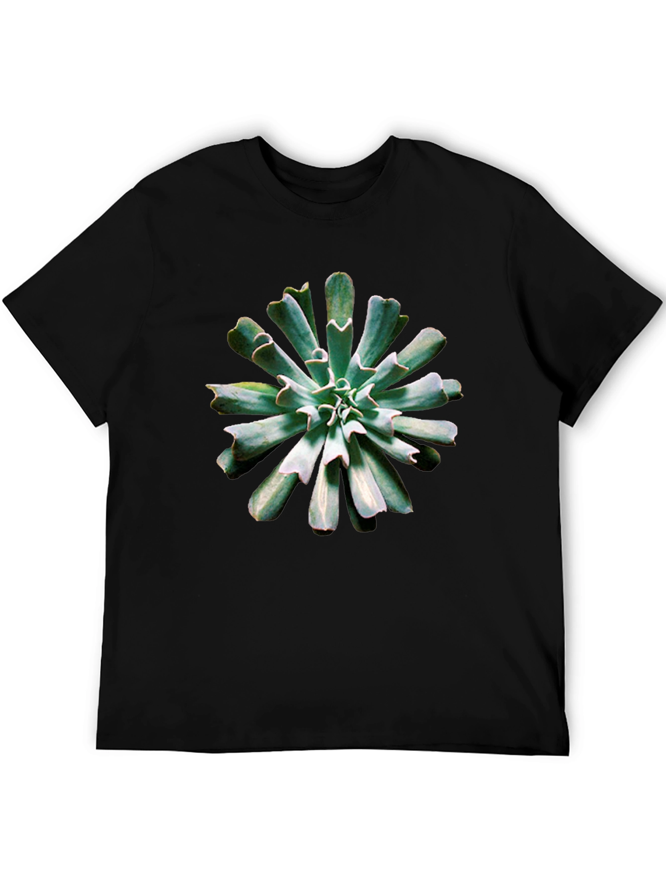 Succulent Print Black T-Shirt