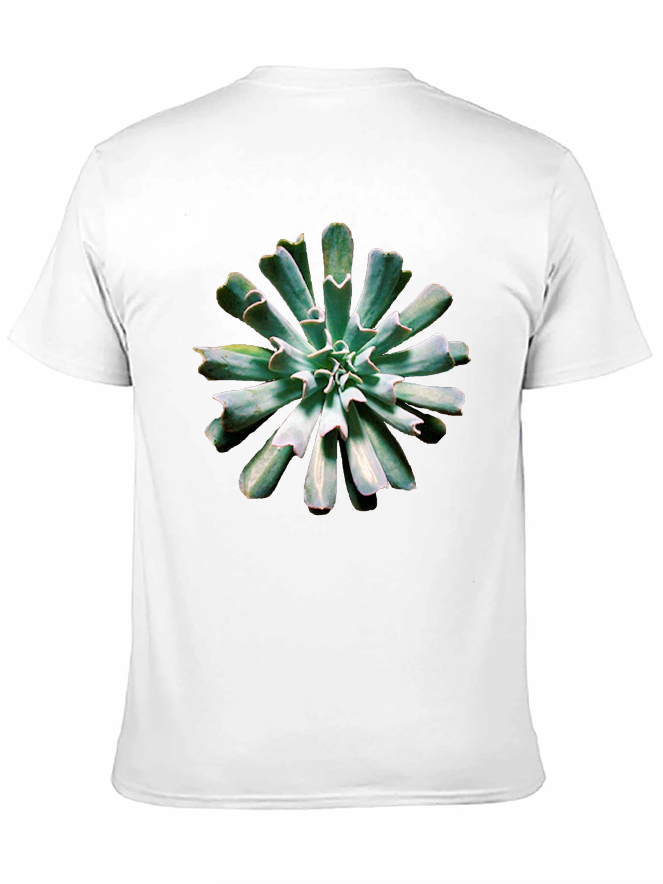 Succulent Print Black T-Shirt