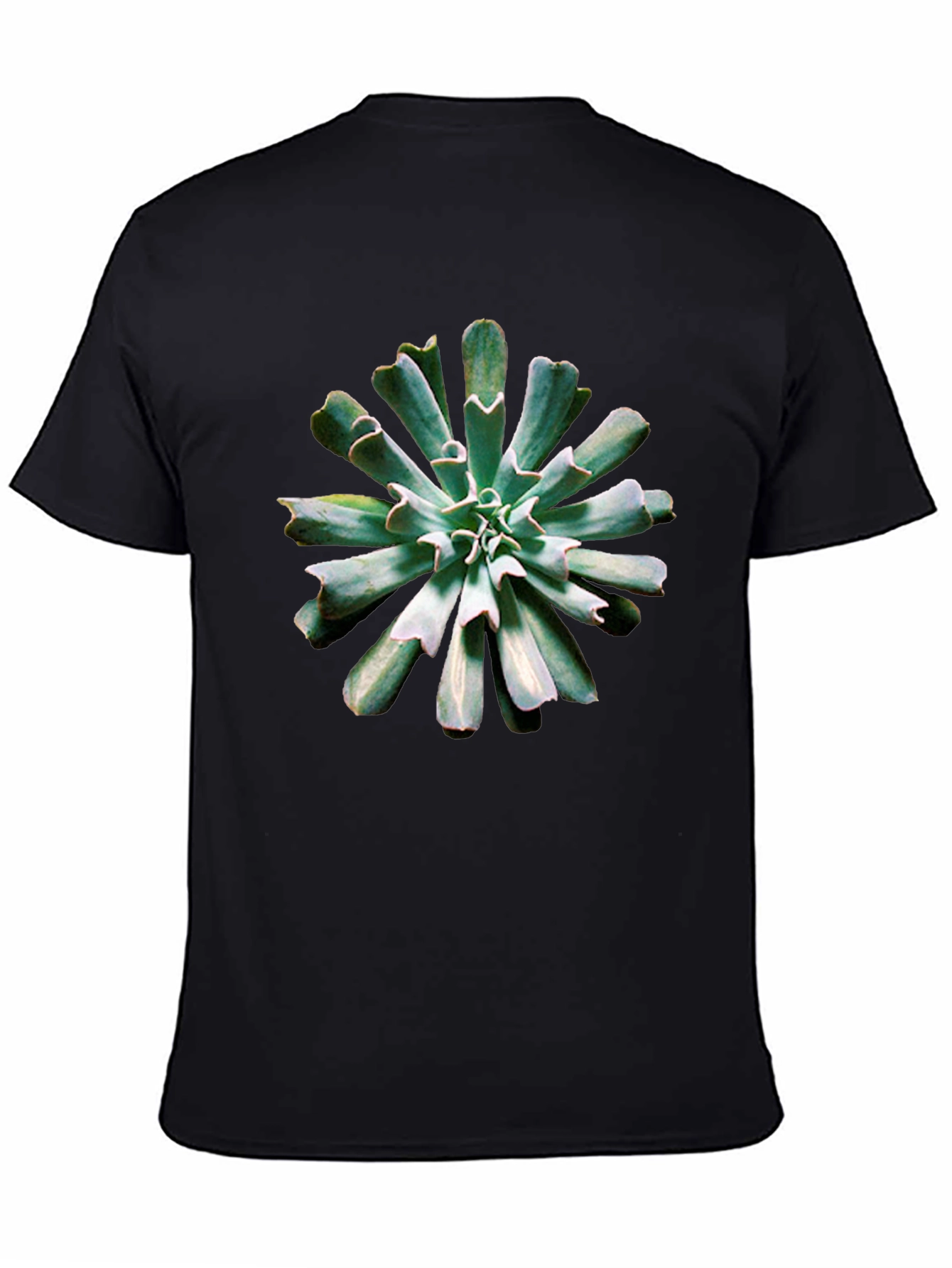 Succulent Print Black T-Shirt