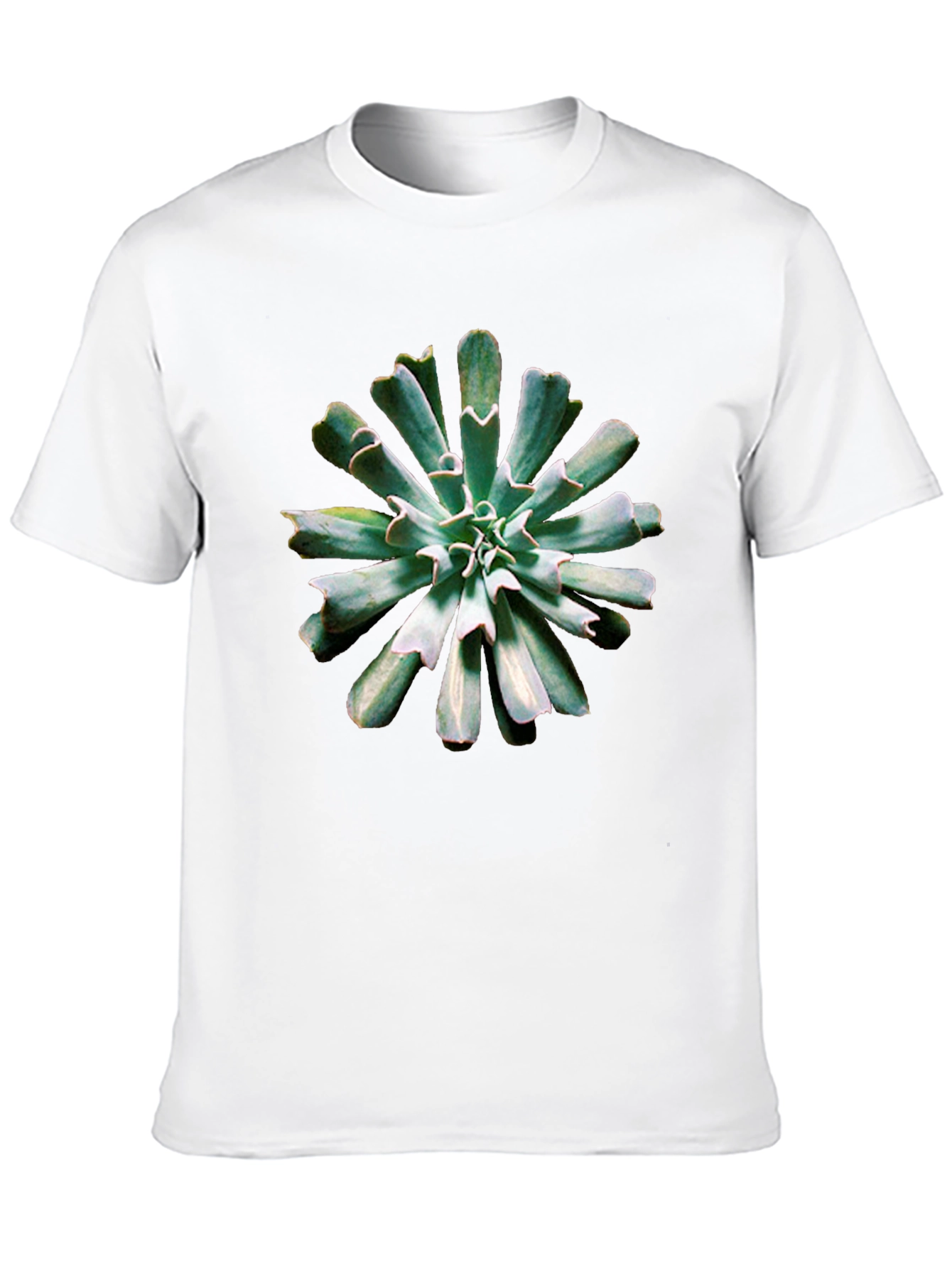 Succulent Print Black T-Shirt