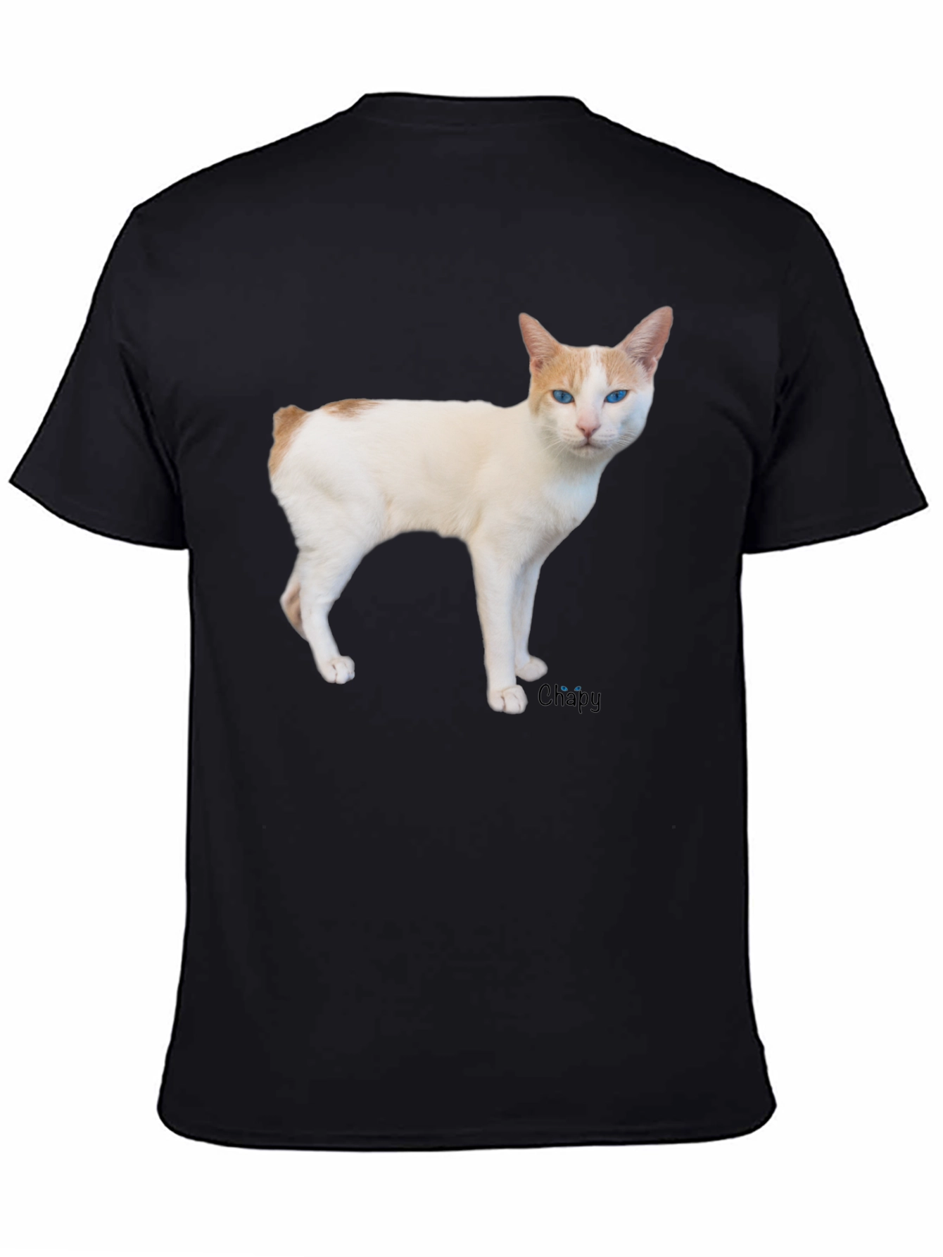 Cool Cat T-Shirt - Casual Black Tee