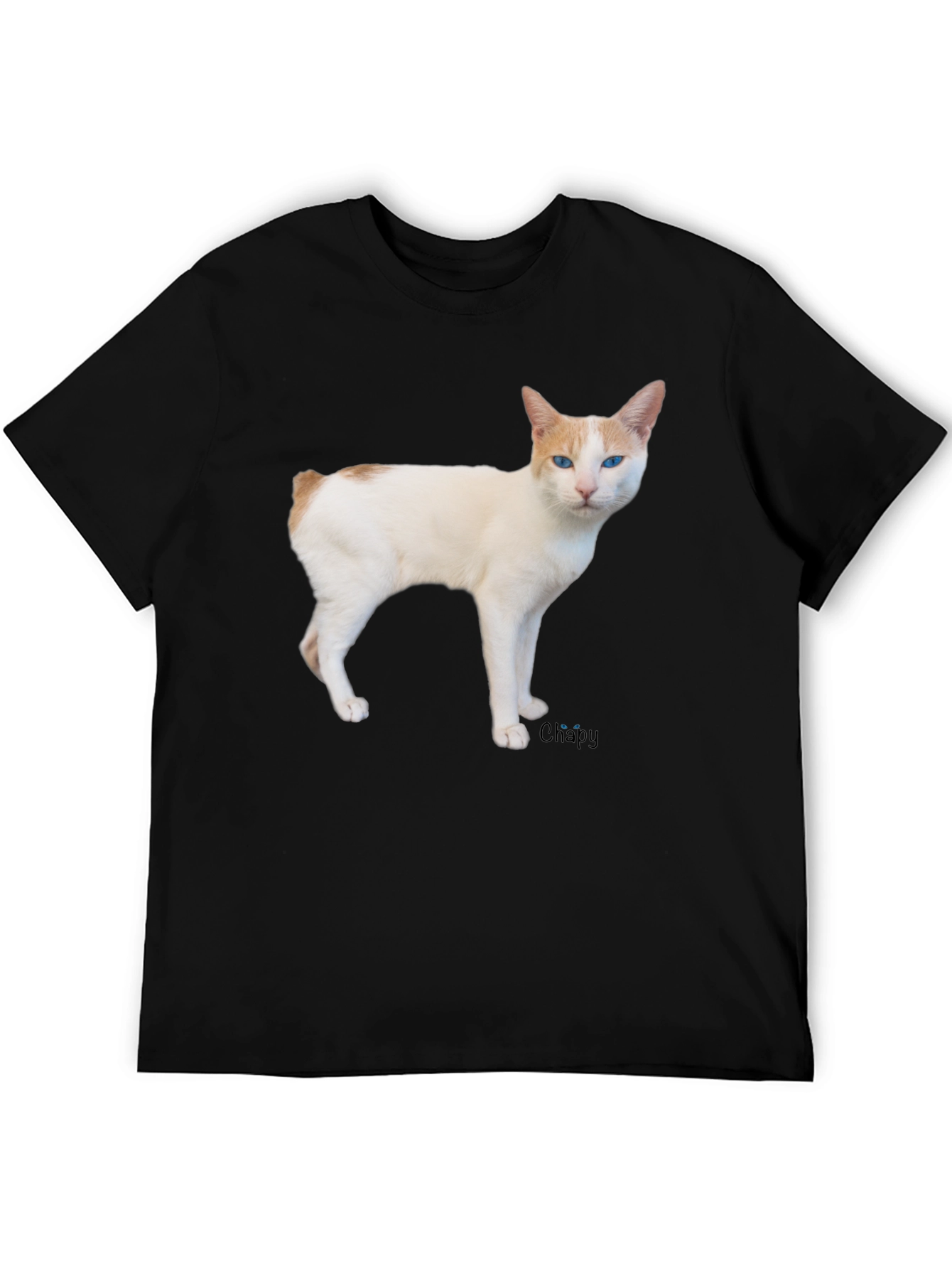 Cool Cat T-Shirt - Casual Black Tee