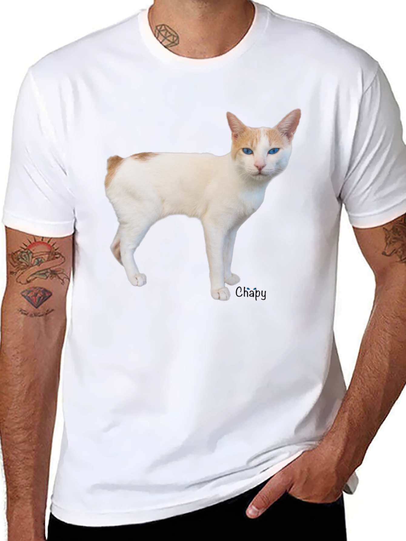 Cool Cat T-Shirt - Casual Black Tee