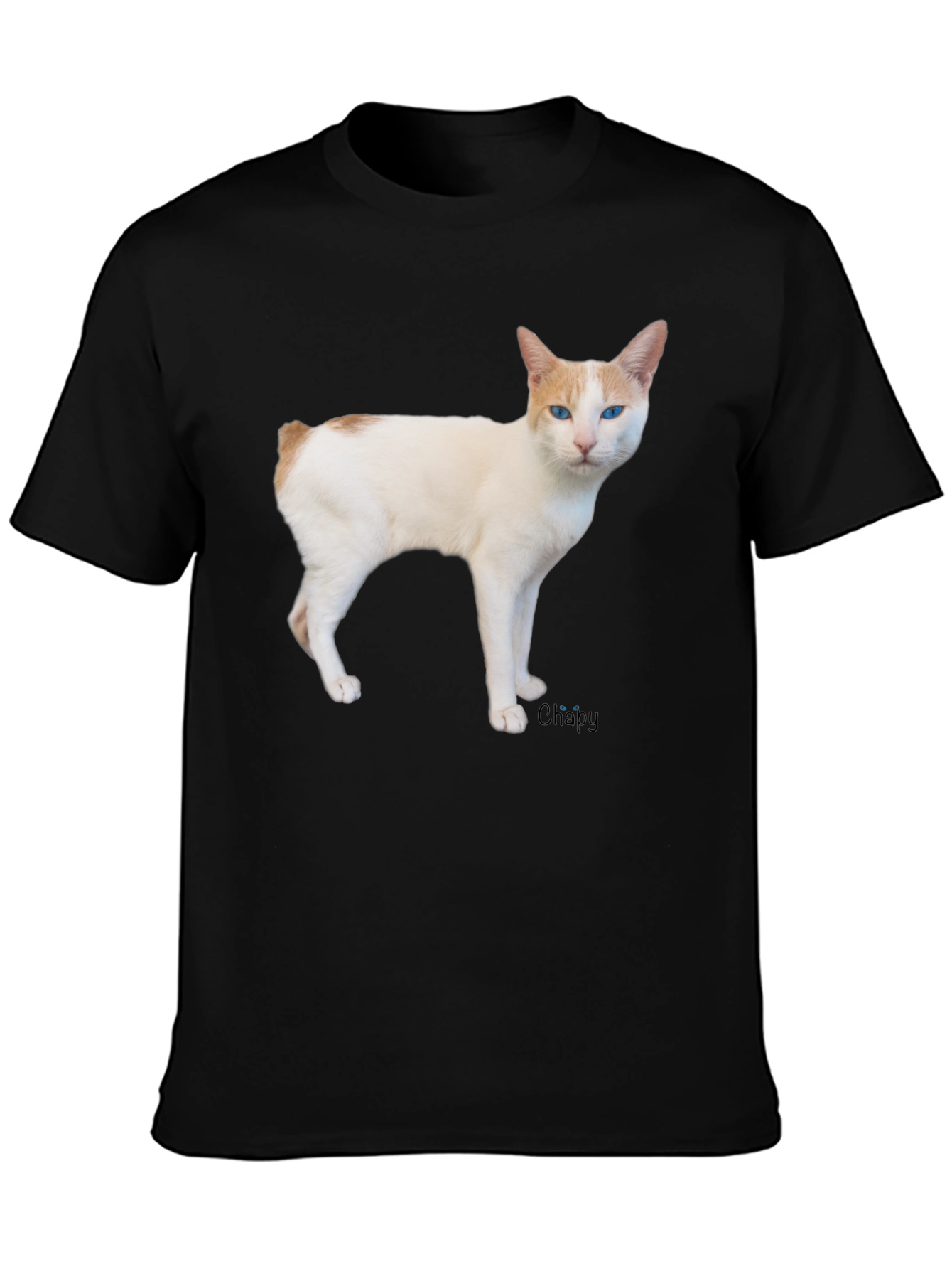 Cool Cat T-Shirt - Casual Black Tee