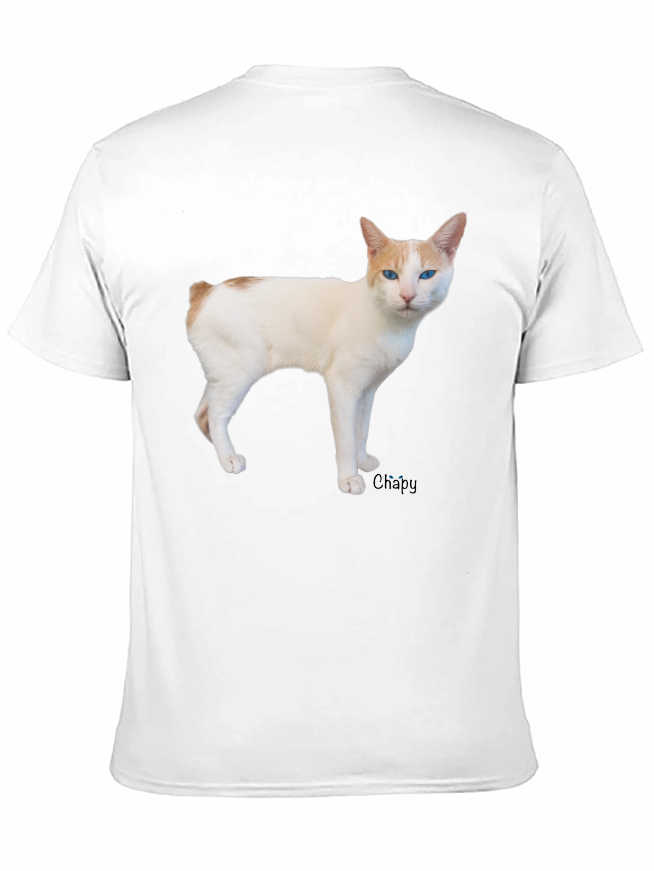 Cool Cat T-Shirt - Casual Black Tee