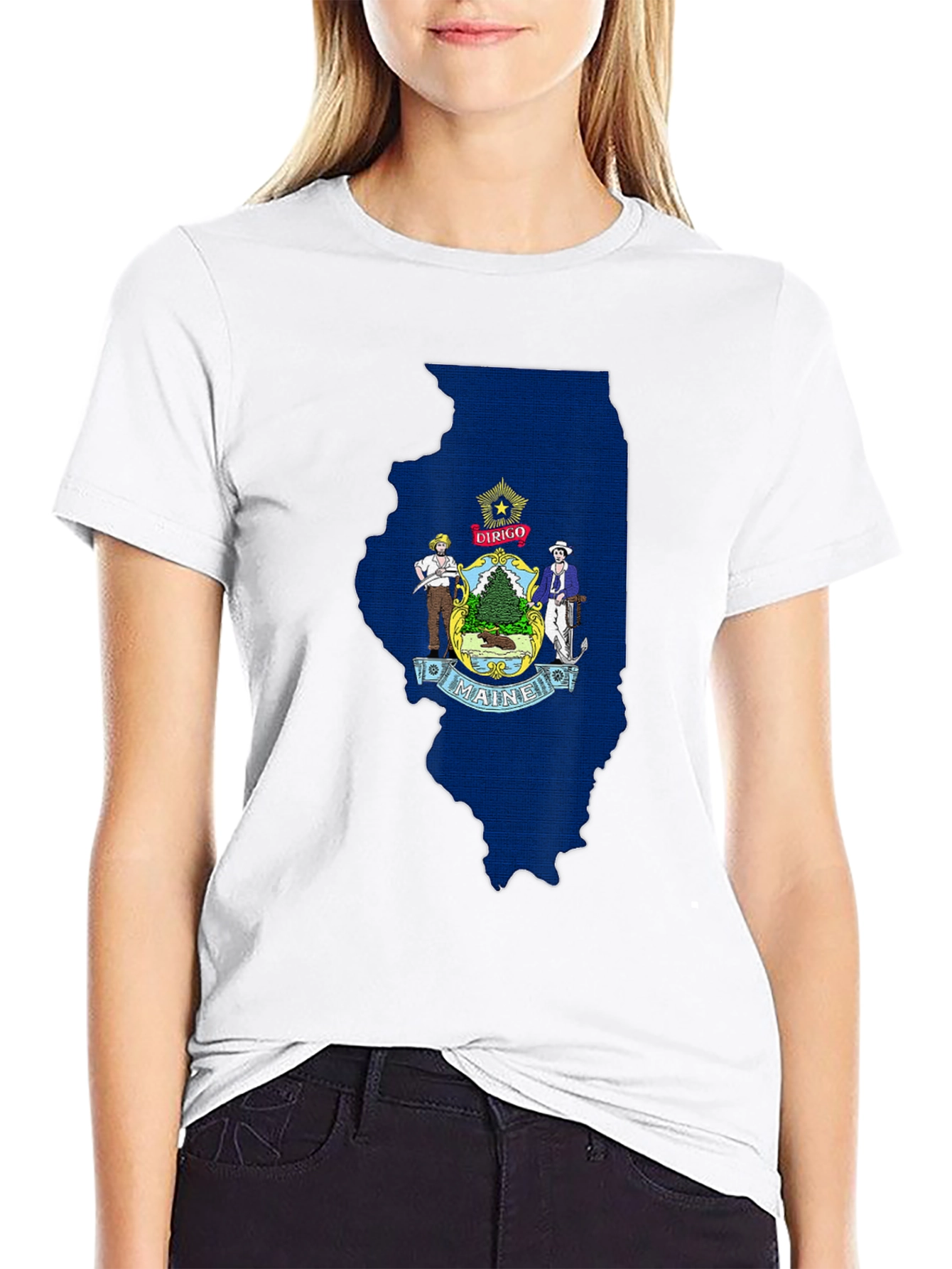 Maine State Flag Illinois Outline T-Shirt