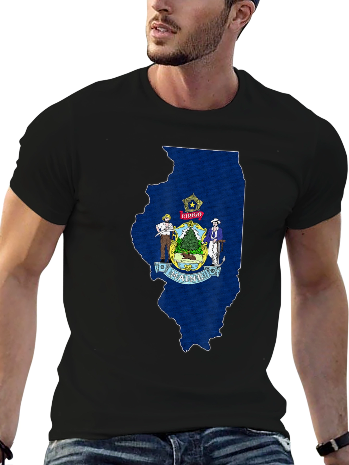 Maine State Flag Illinois Outline T-Shirt