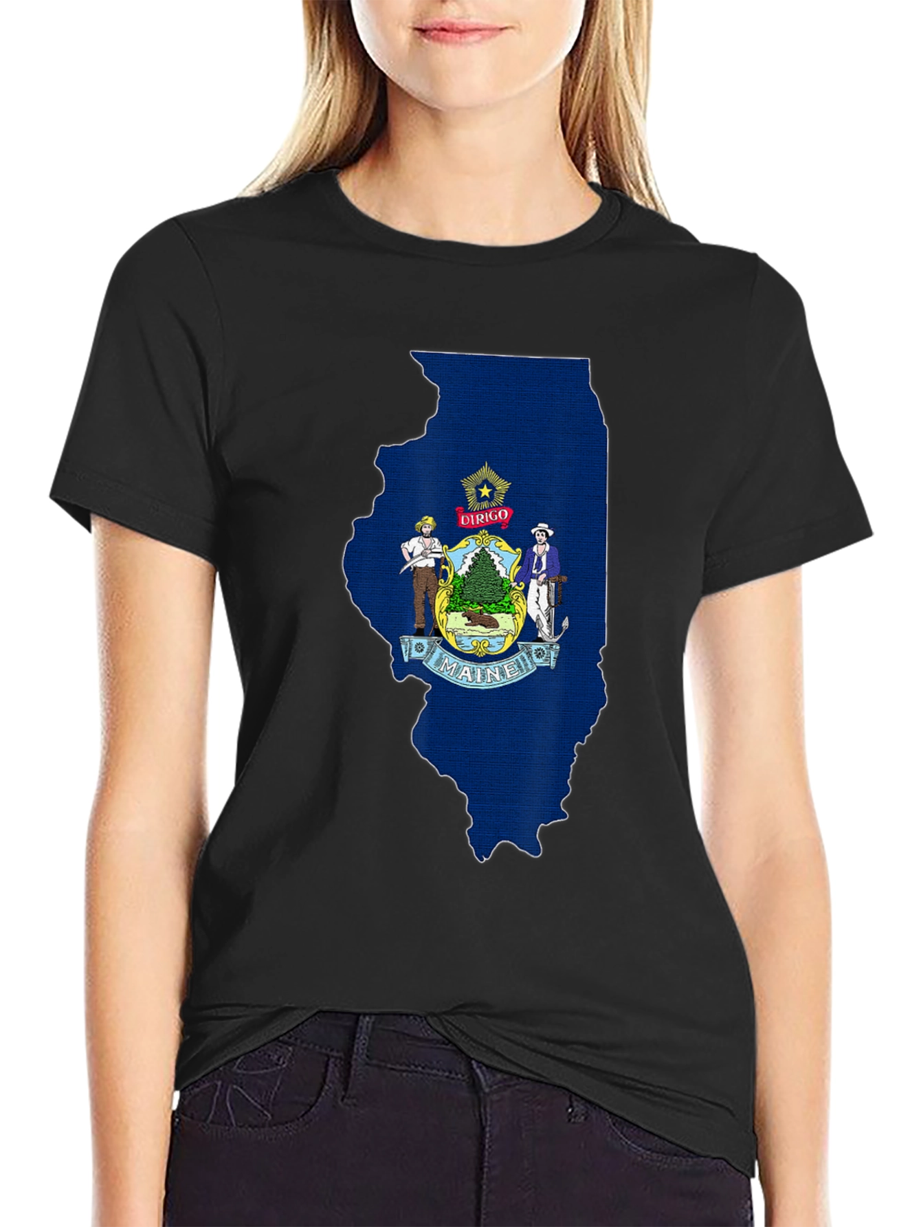 Maine State Flag Illinois Outline T-Shirt