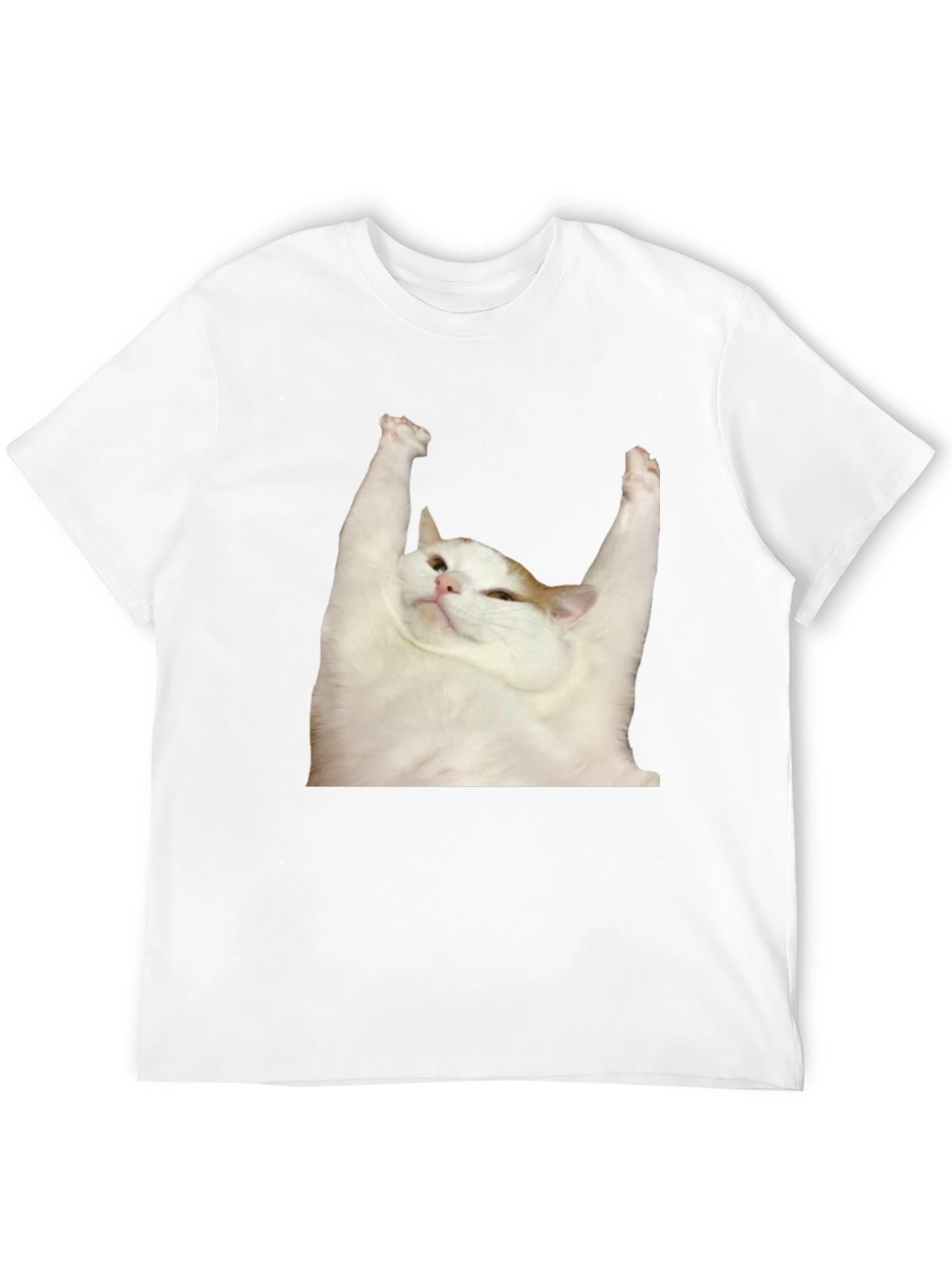 Cat Yoga T-Shirt: Zen Master Tee