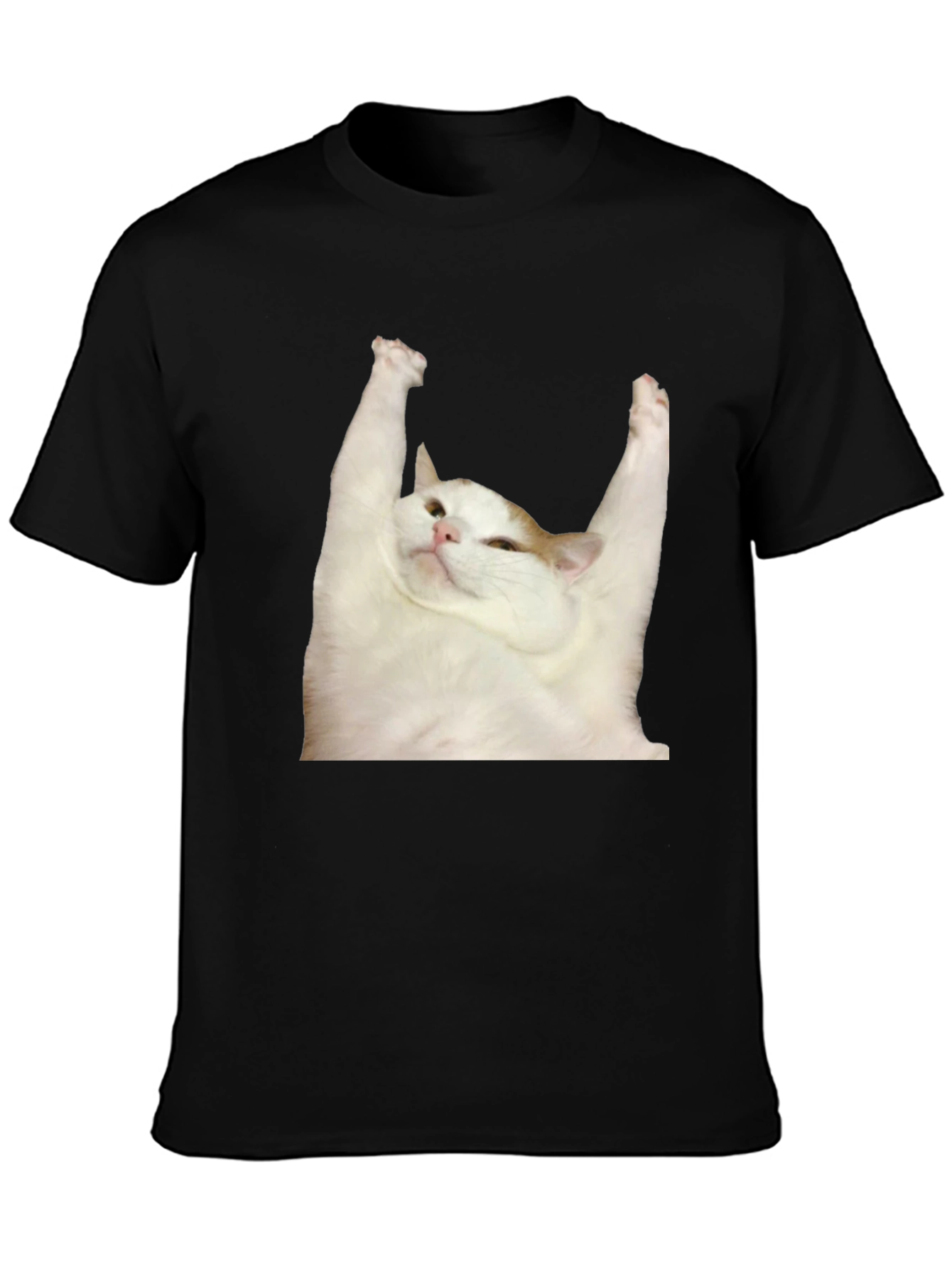 Cat Yoga T-Shirt: Zen Master Tee
