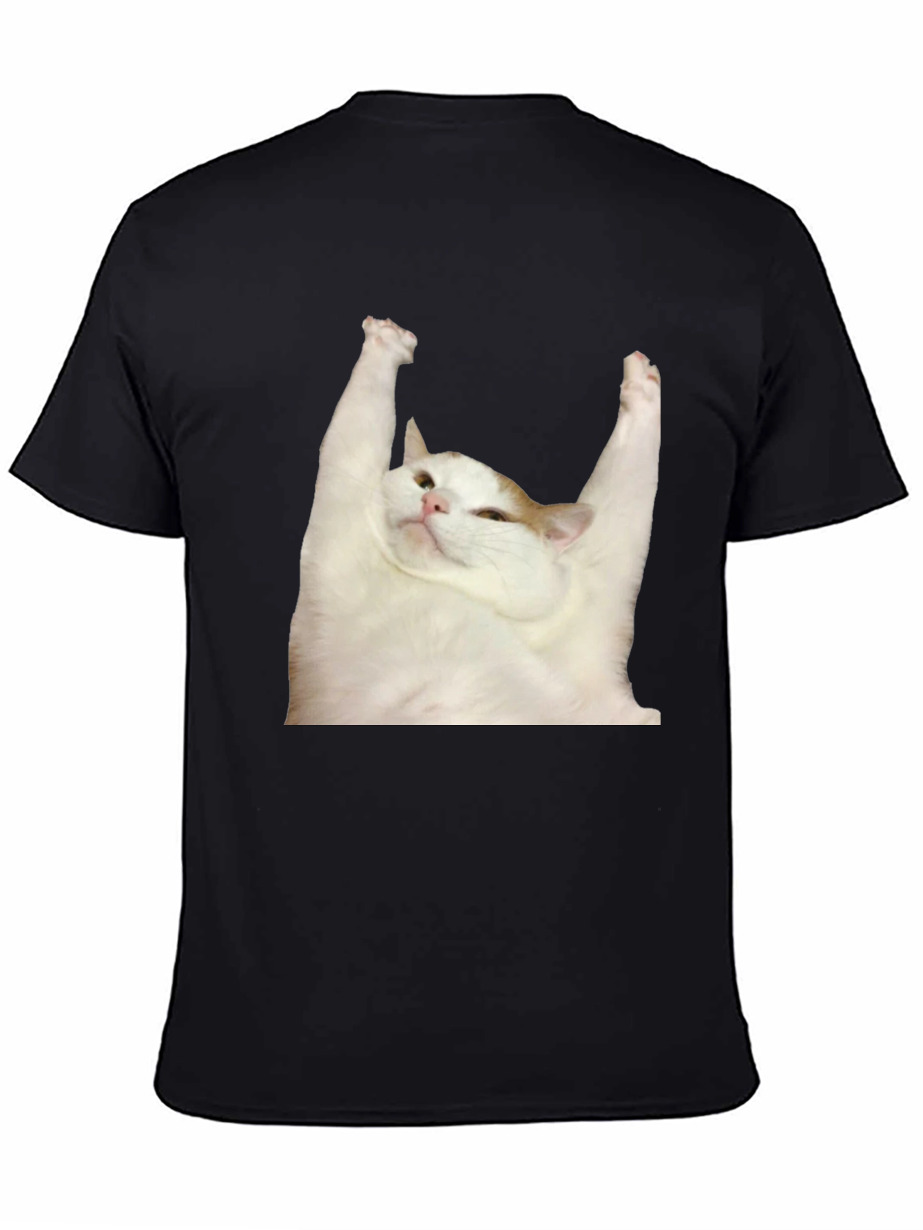 Cat Yoga T-Shirt: Zen Master Tee