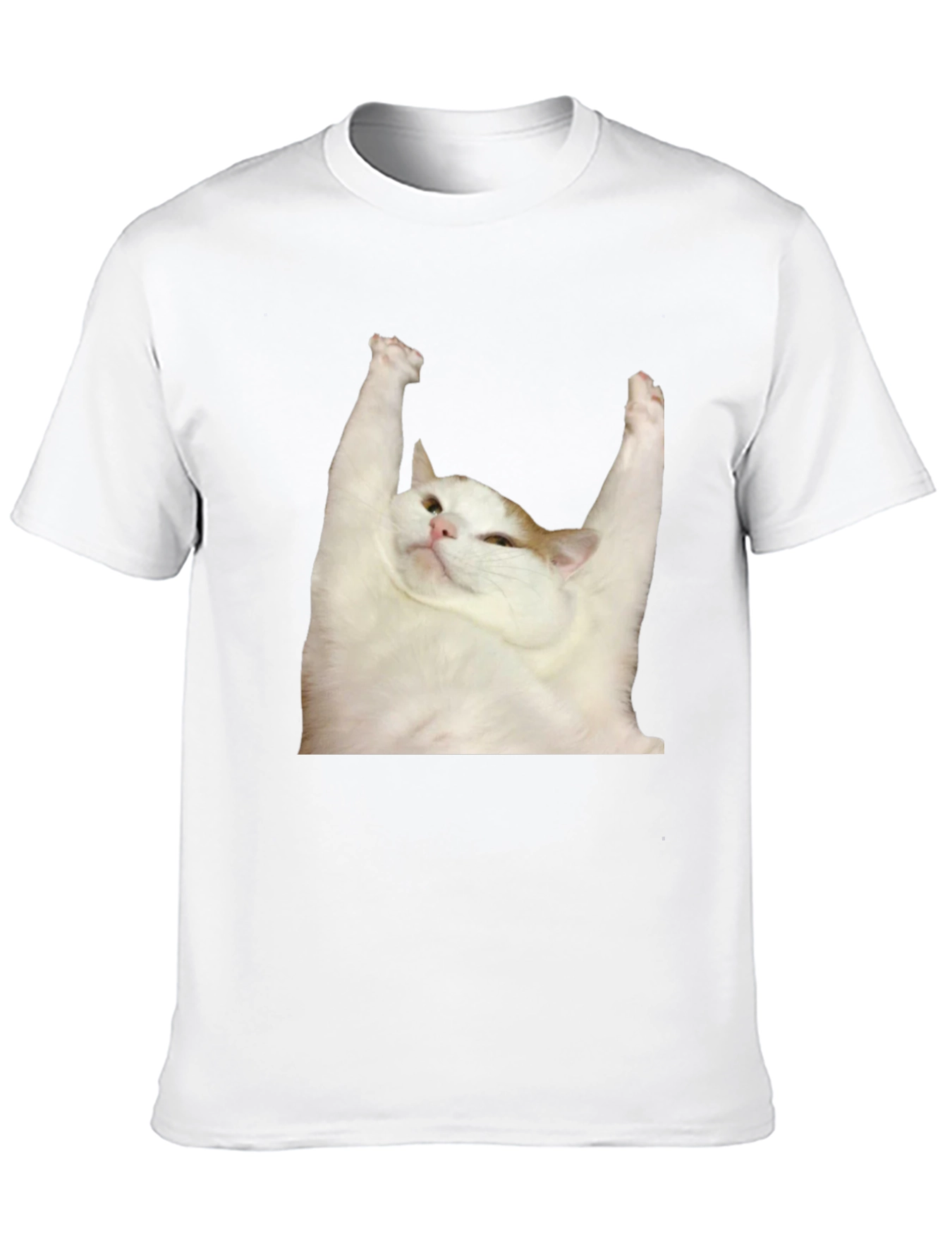 Cat Yoga T-Shirt: Zen Master Tee