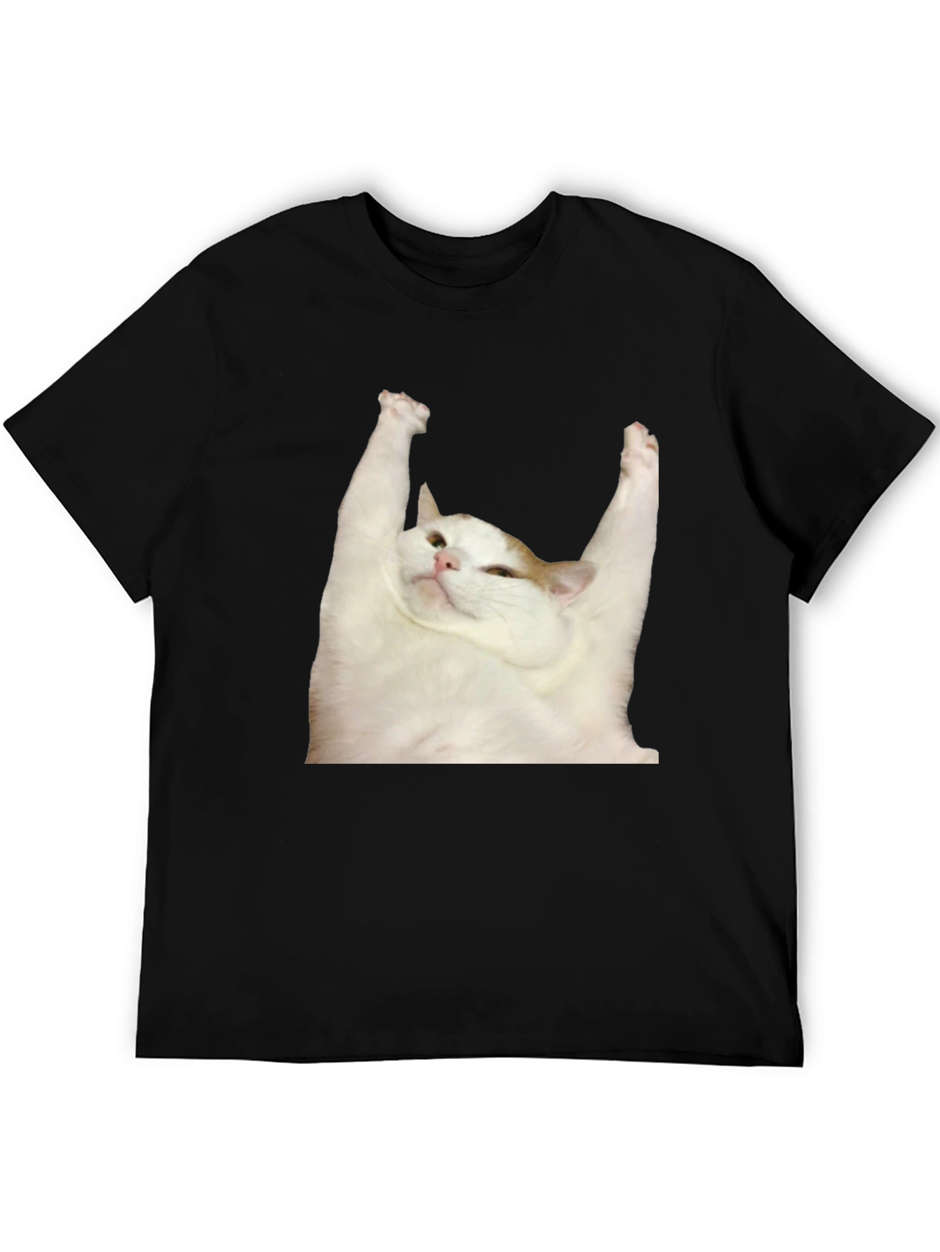 Cat Yoga T-Shirt: Zen Master Tee