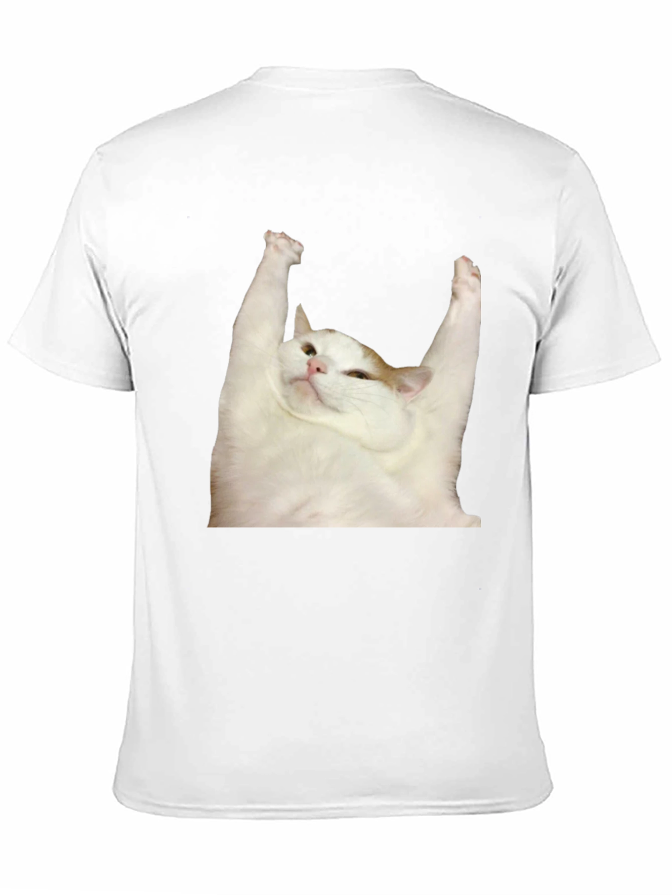 Cat Yoga T-Shirt: Zen Master Tee