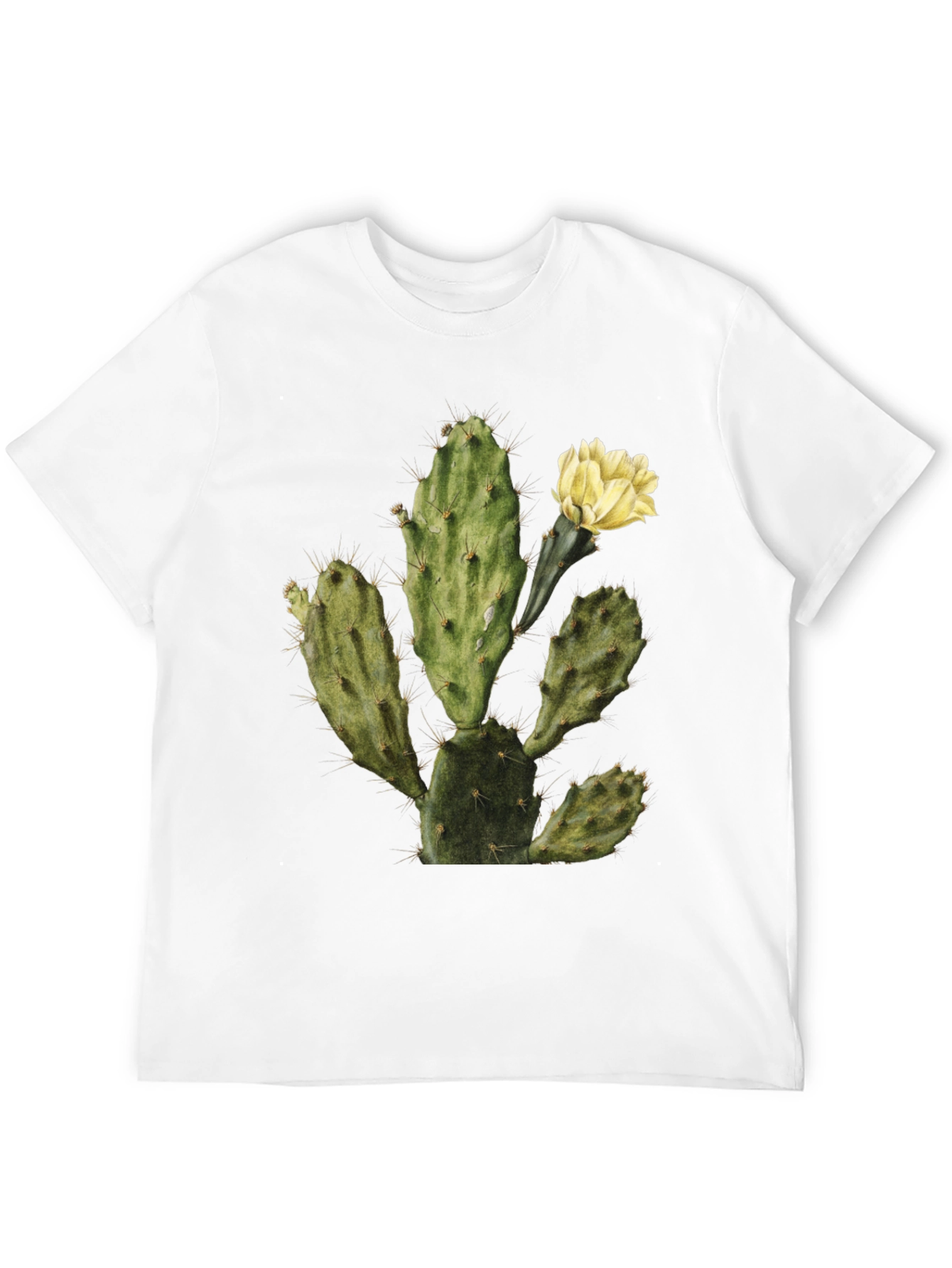 Cactus Graphic Tee - Black Cotton T-Shirt