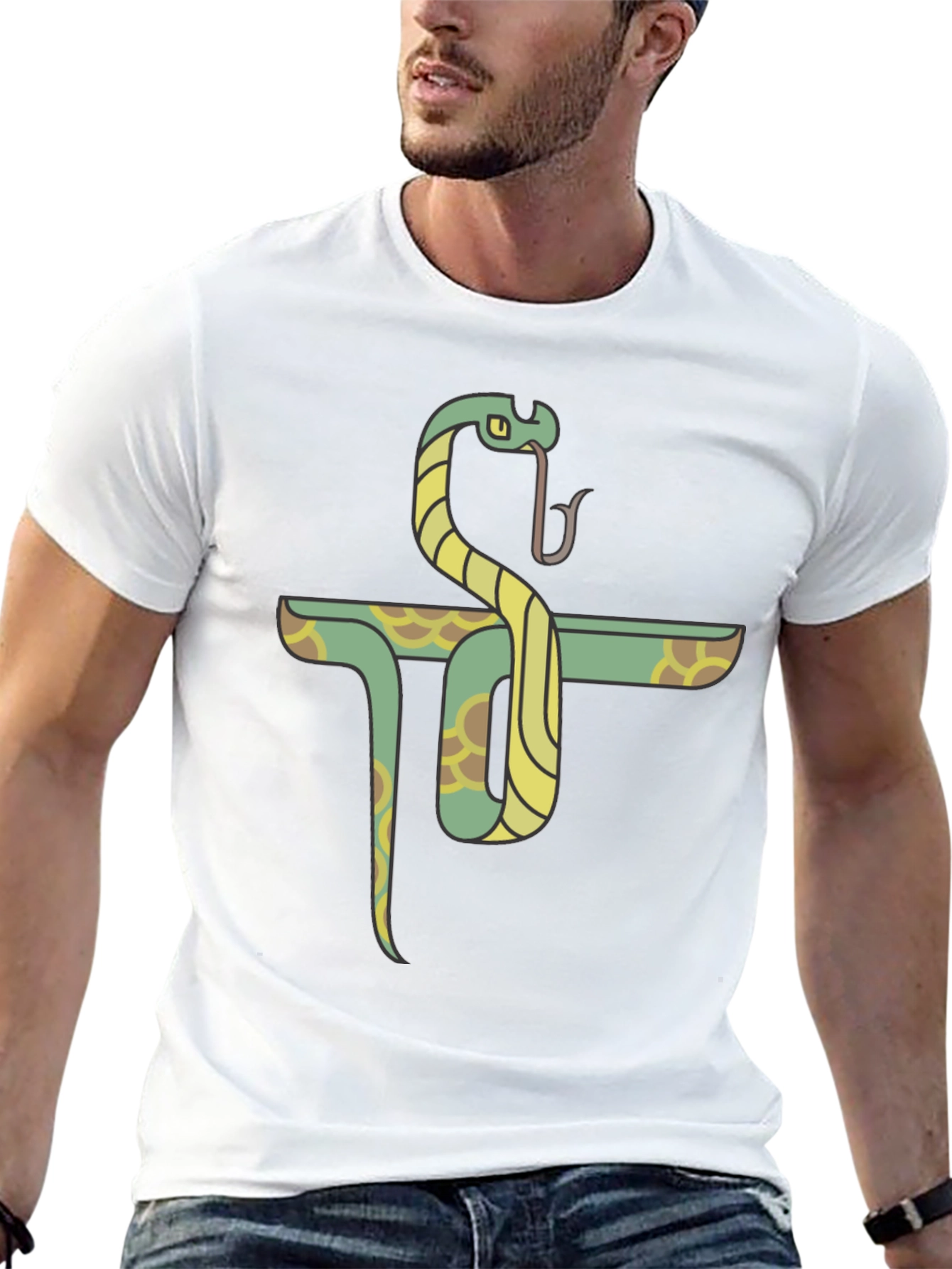 Snake Pi Symbol T-Shirt