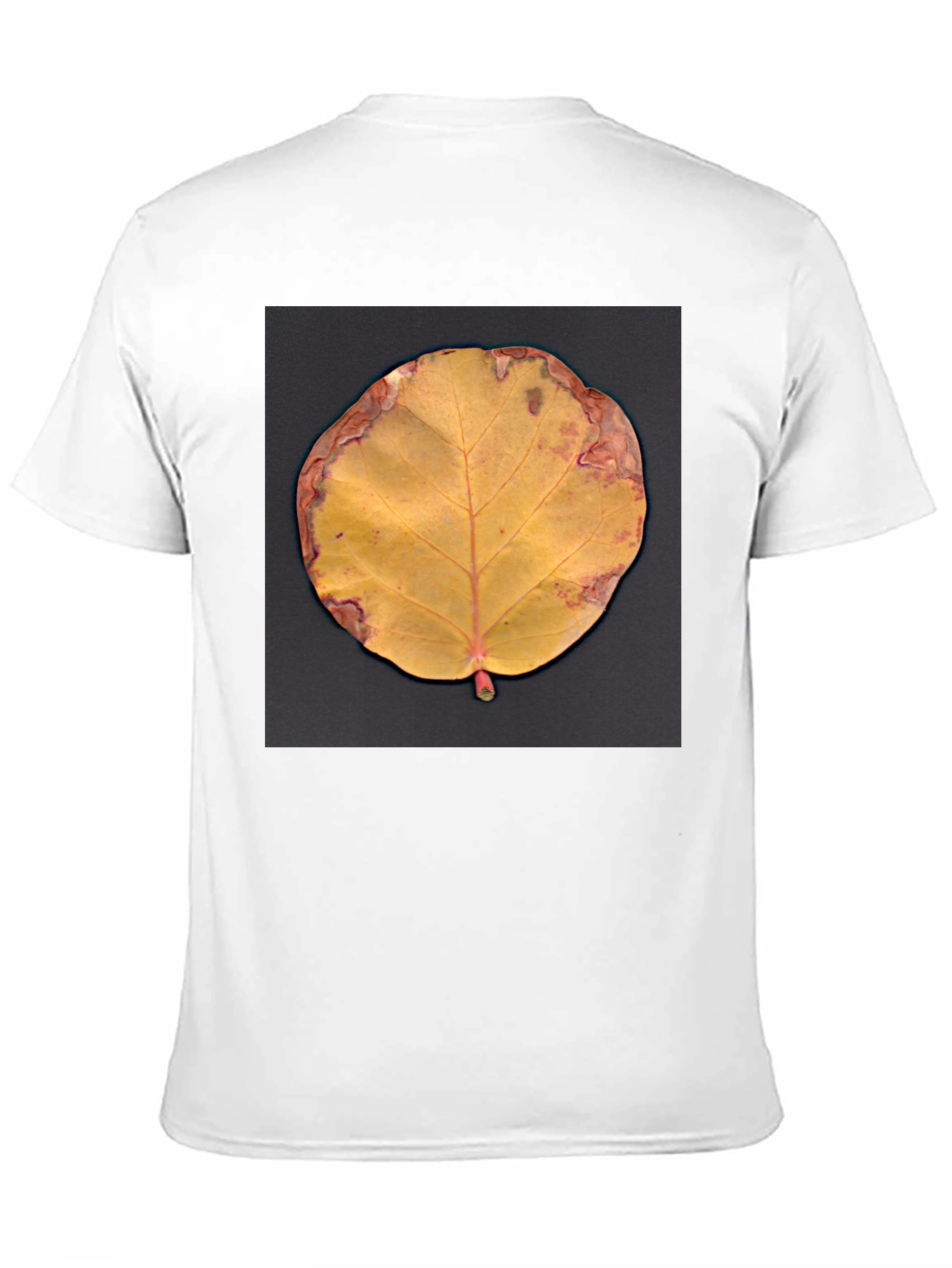 Fall Leaf Graphic Tee - Unique Nature Design