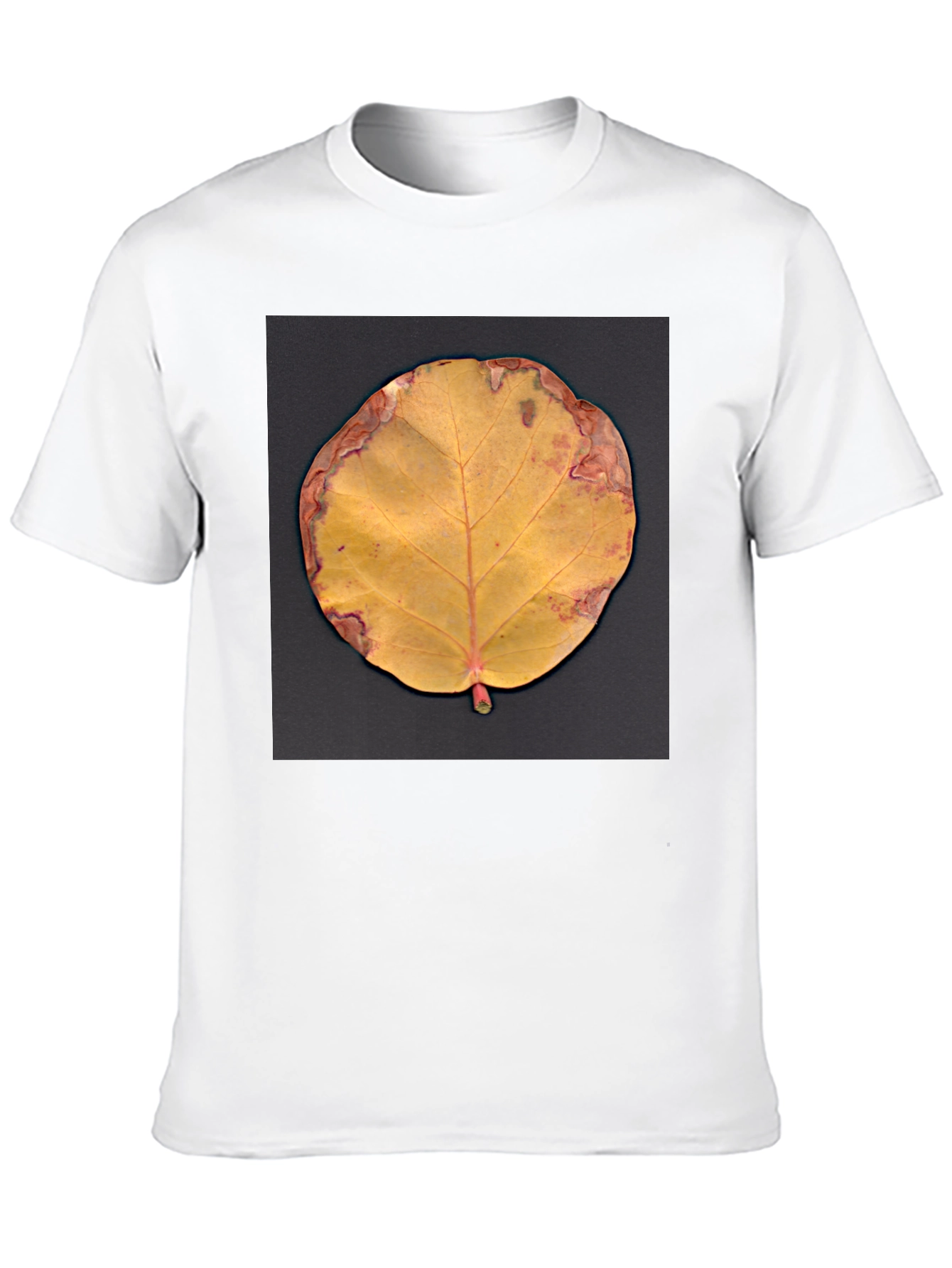 Fall Leaf Graphic Tee - Unique Nature Design