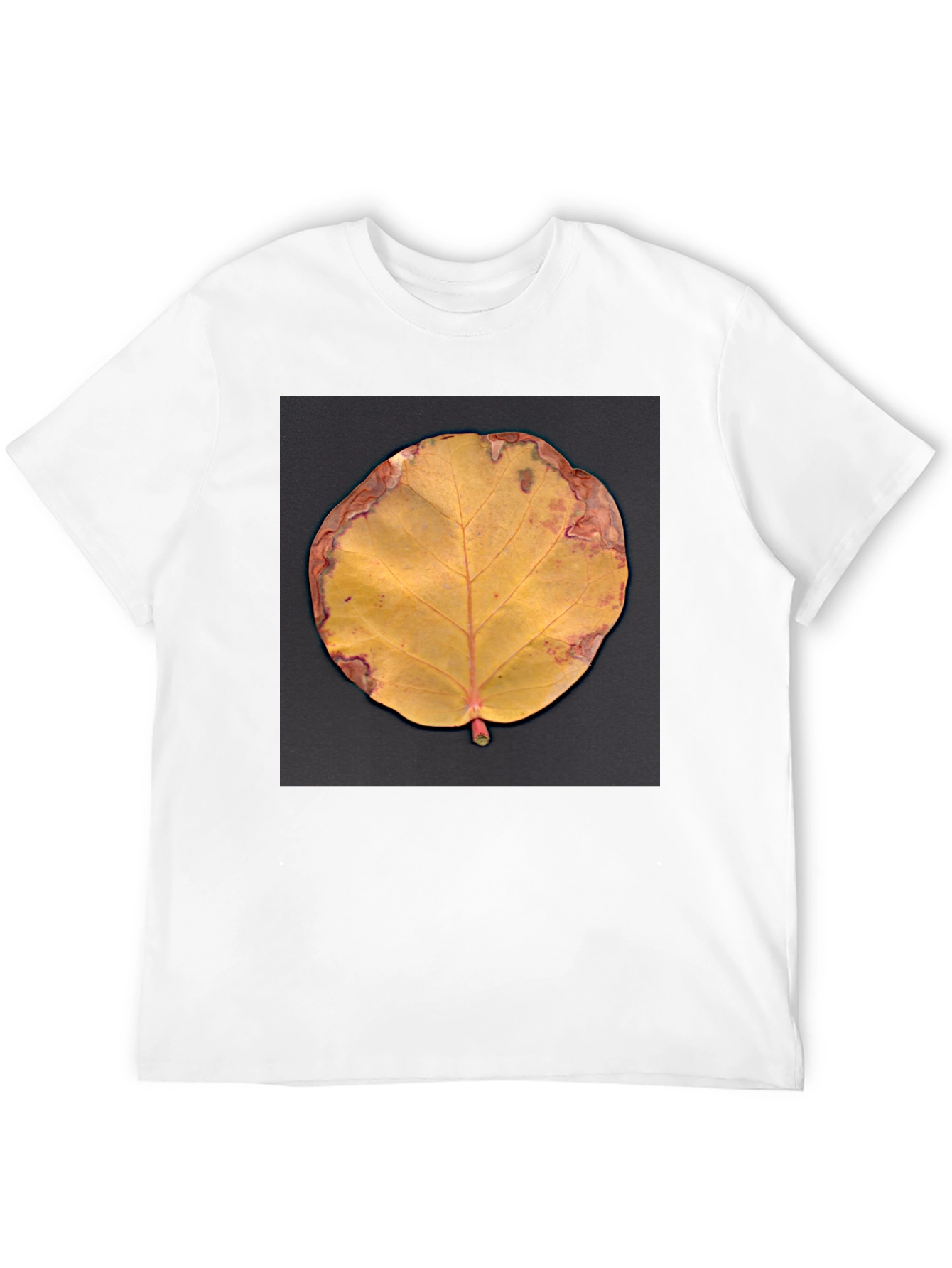 Fall Leaf Graphic Tee - Unique Nature Design