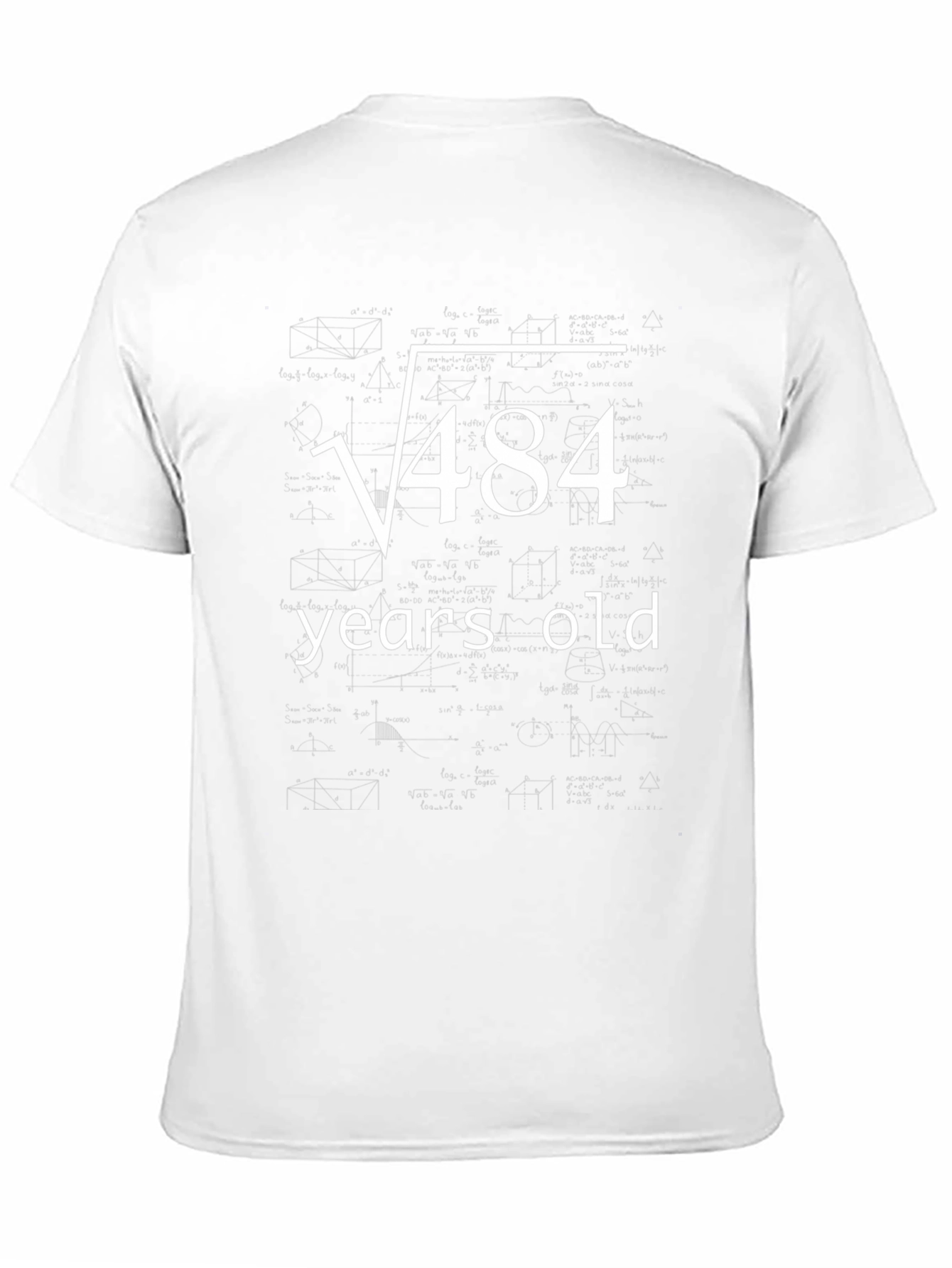Funny 22nd Birthday T-Shirt Square Root of 484