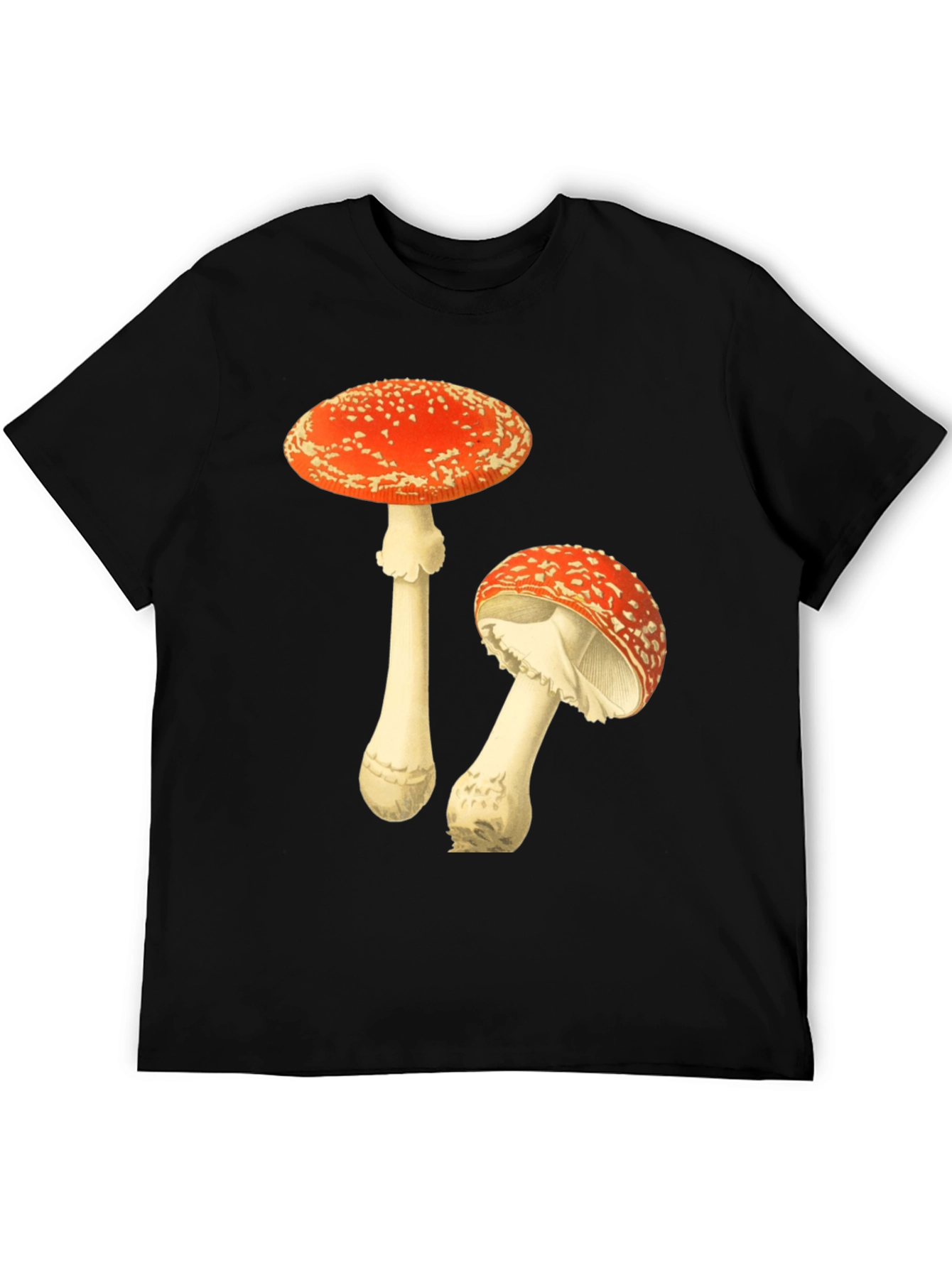 Mushroom Graphic T-Shirt - Black Cotton Tee