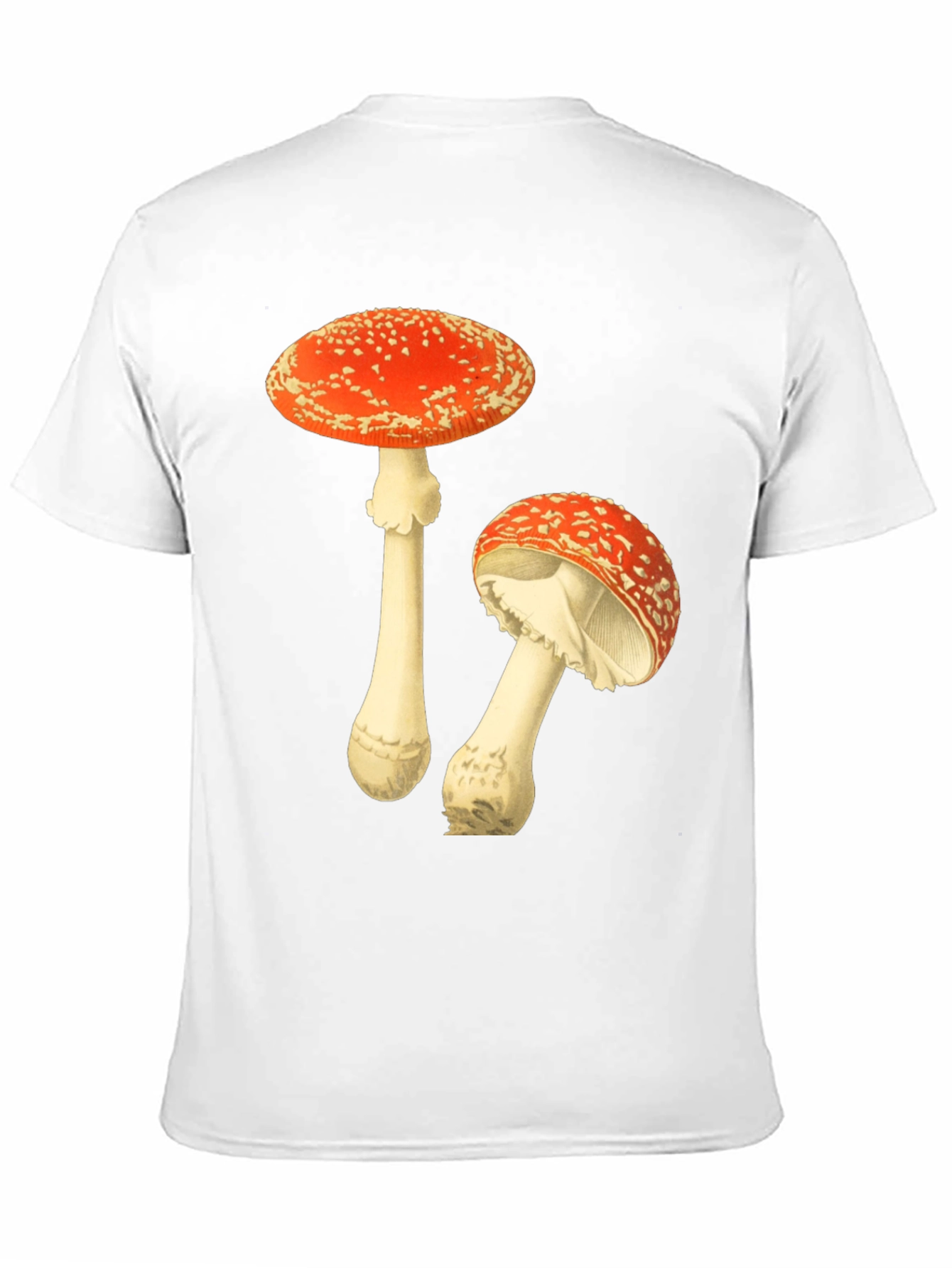 Mushroom Graphic T-Shirt - Black Cotton Tee