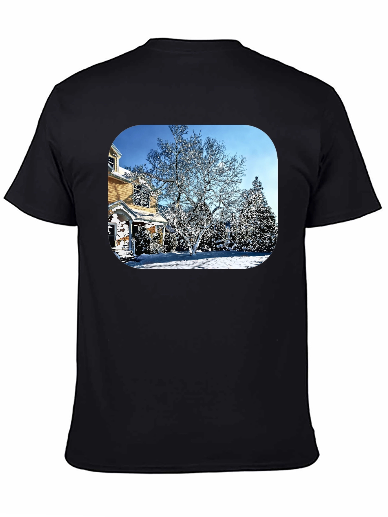 Winter House Graphic Tee - Black Cotton Comfort