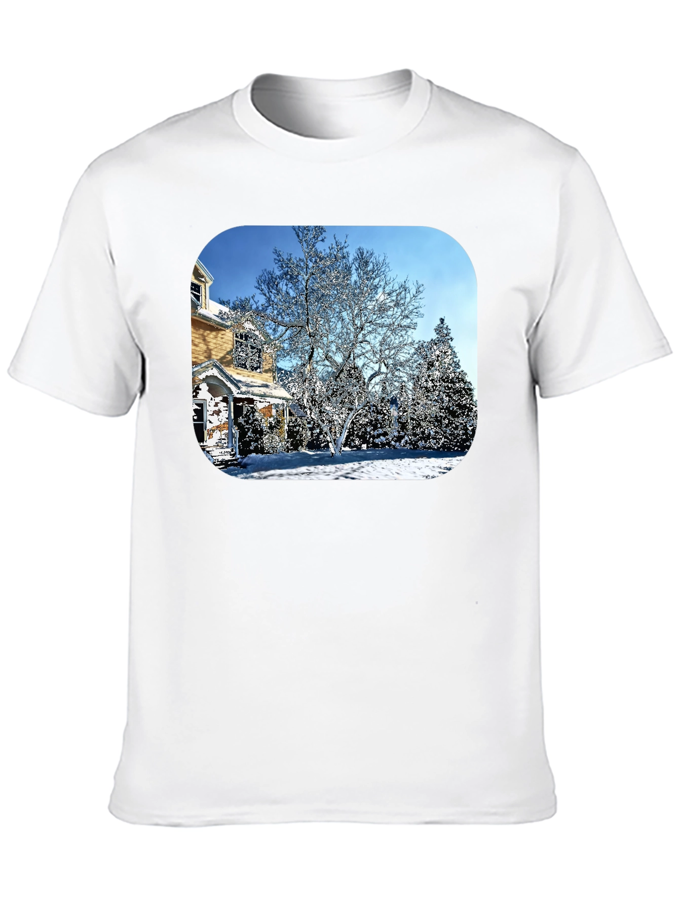 Winter House Graphic Tee - Black Cotton Comfort