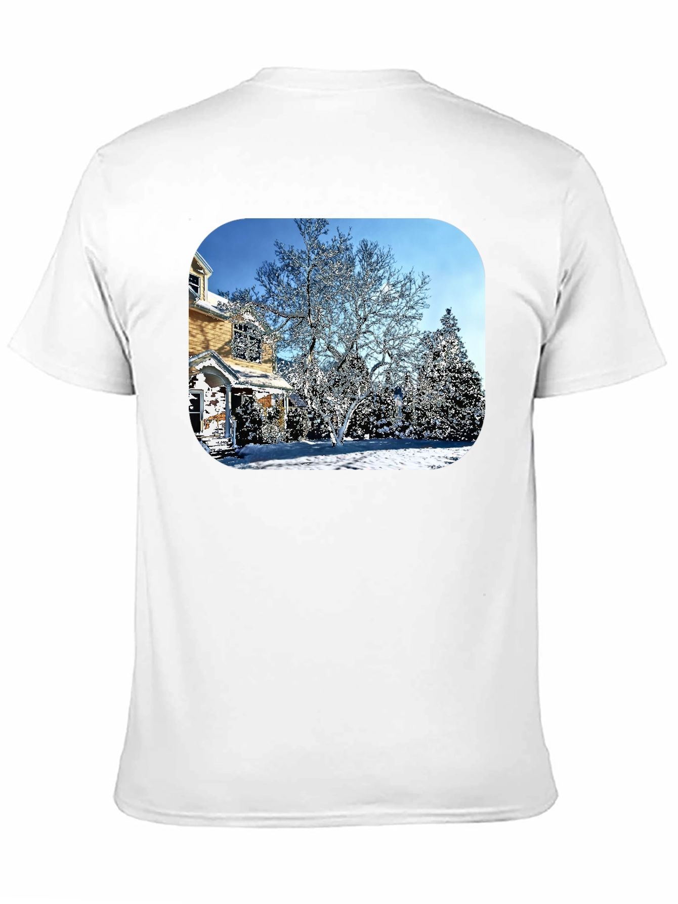Winter House Graphic Tee - Black Cotton Comfort
