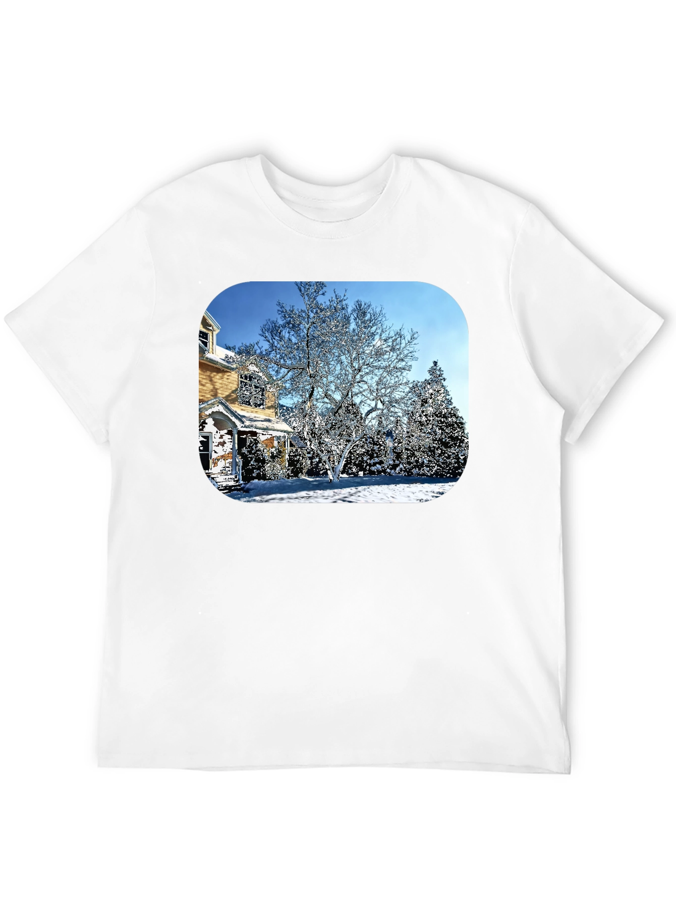 Winter House Graphic Tee - Black Cotton Comfort