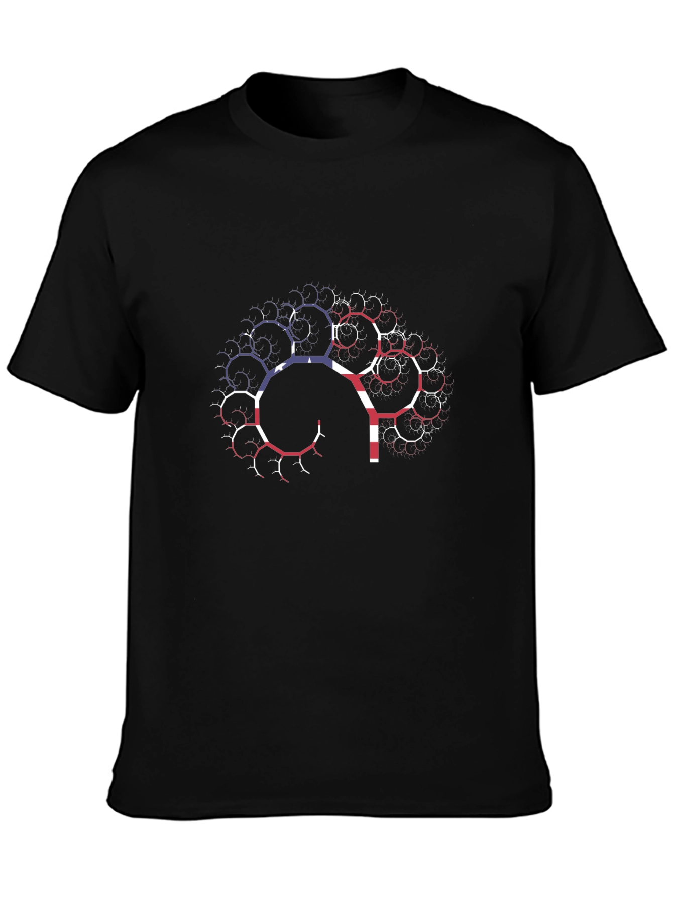 USA Flag Brain Fractal T-Shirt - Black