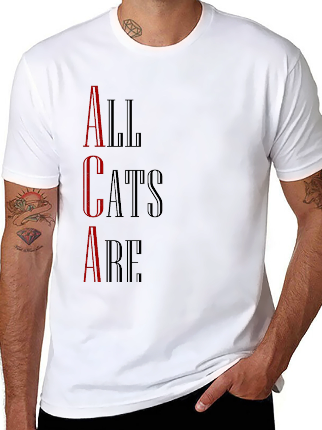 All Cats Are T-Shirt - Black Graphic Tee